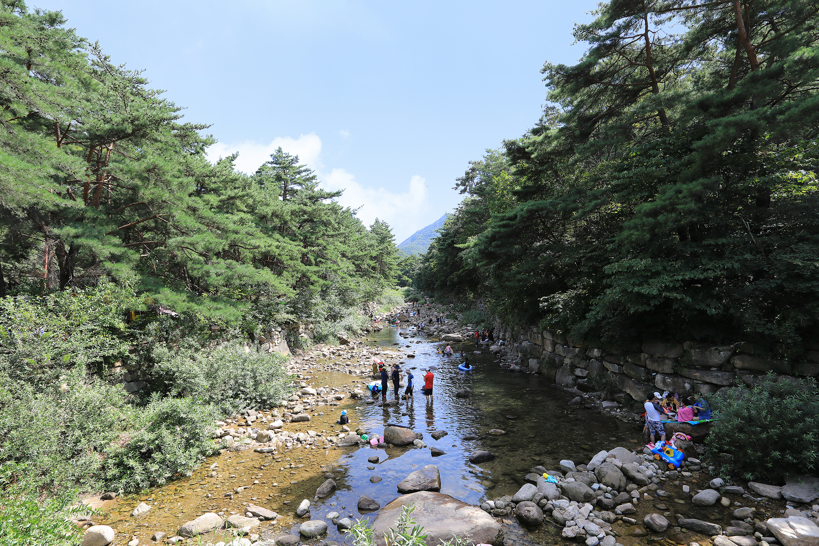 월악산국립공원 덕주야영장