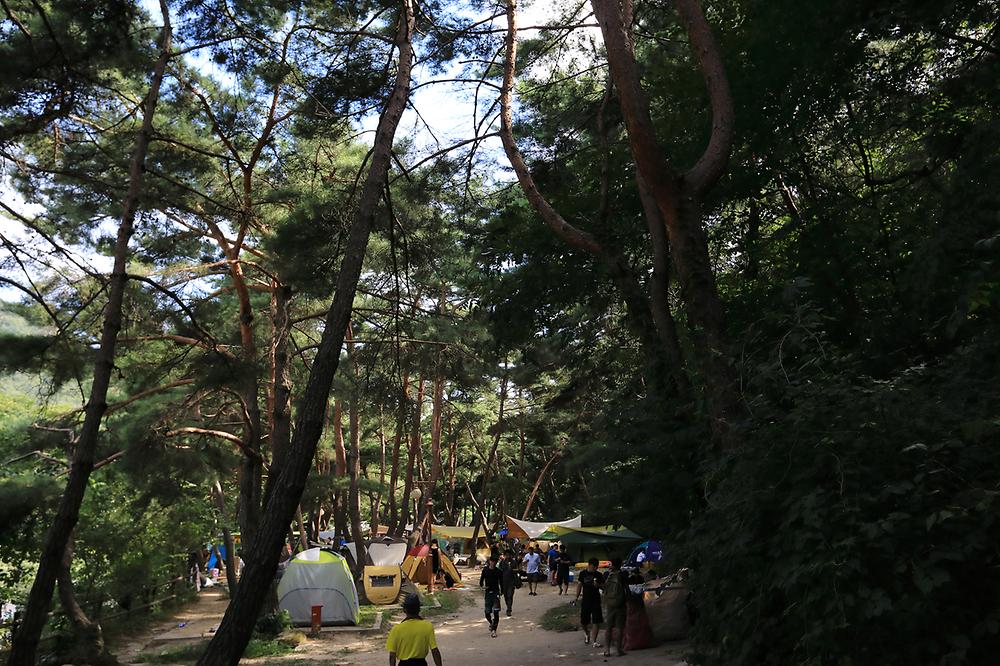 월악산국립공원 덕주야영장