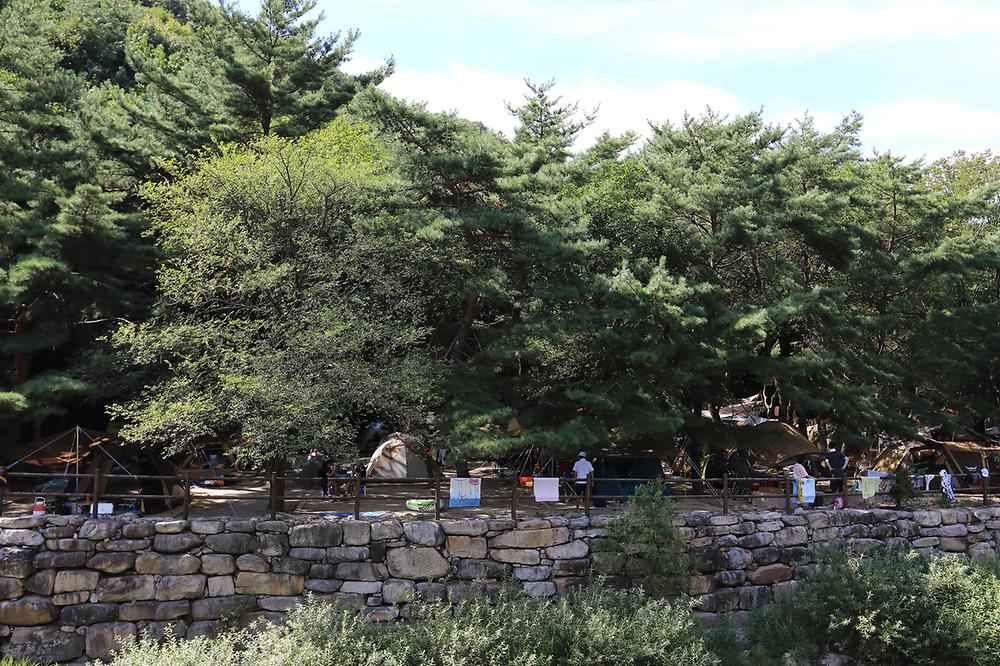 월악산국립공원 덕주야영장