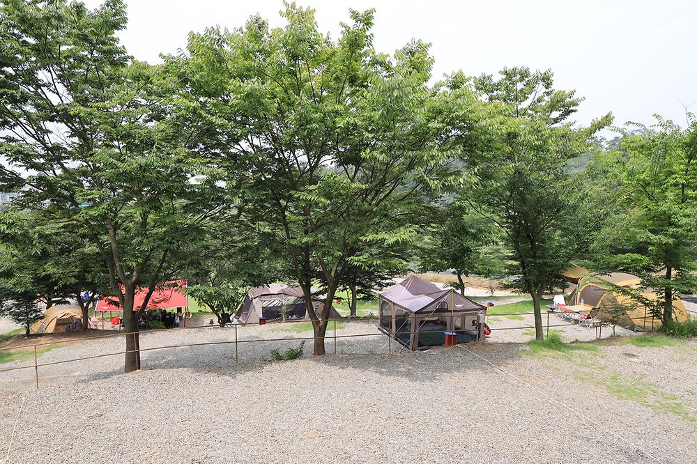 고래숲관광농원