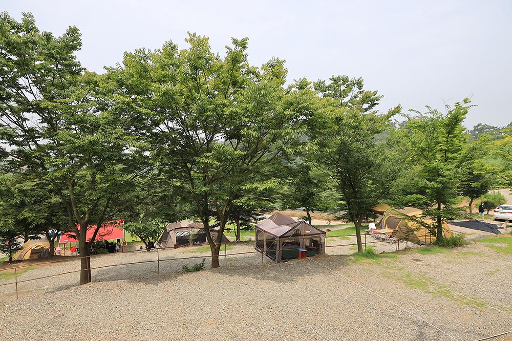 고래숲관광농원