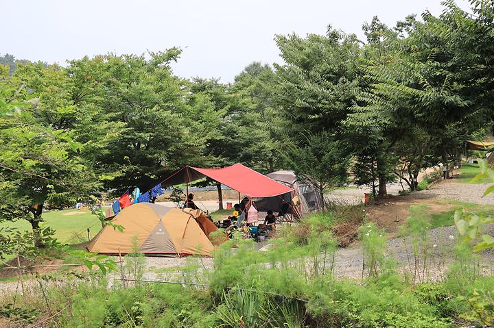 고래숲관광농원 메인 이미지