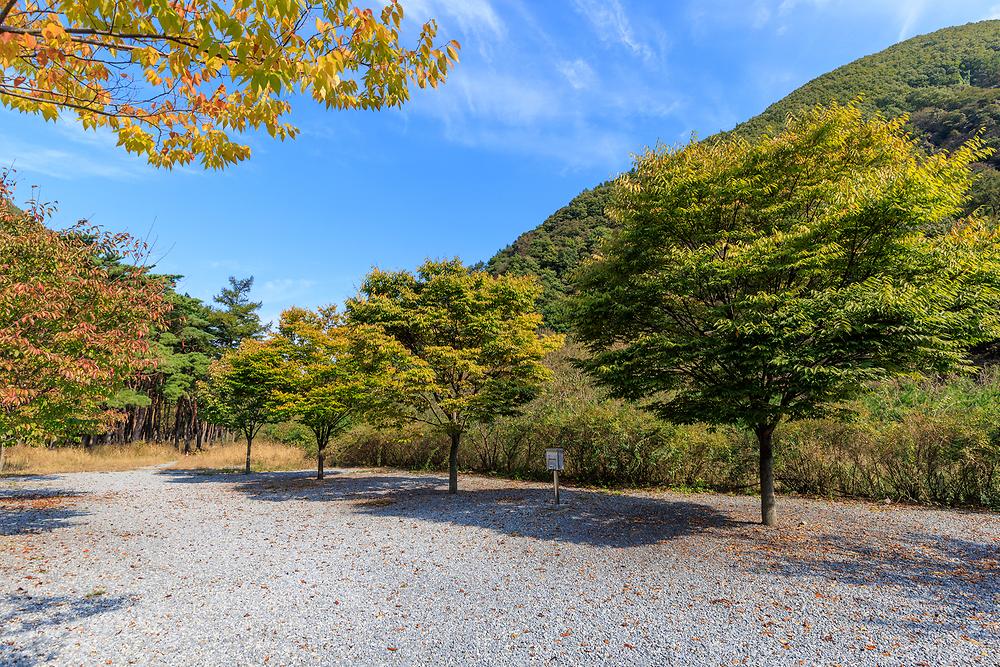 월악파인오토캠핑장