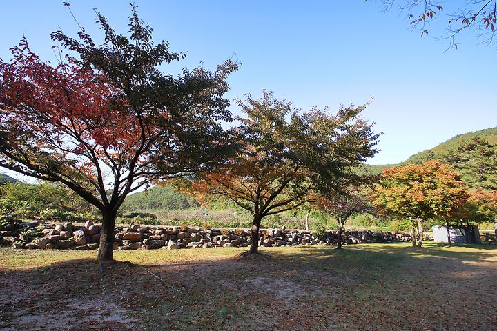 위정캠핑장