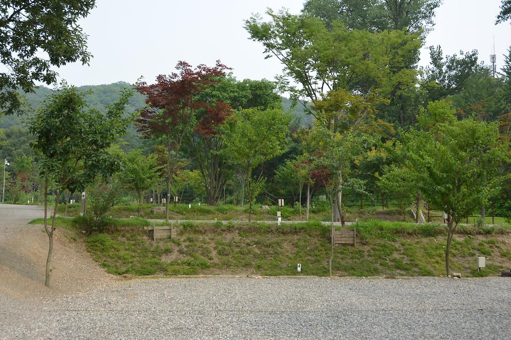 율곡 캠핑장