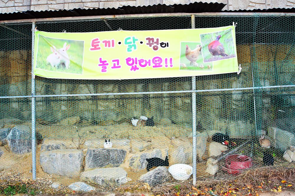 은해사권역 은해로운 휴양마을 캠핑장