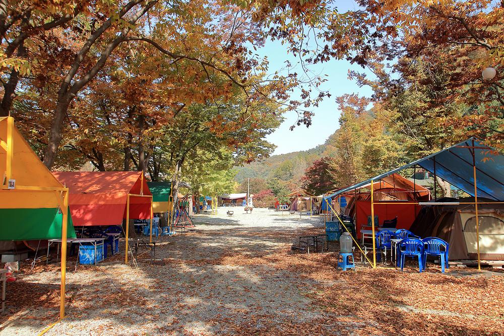 이지캠핑장