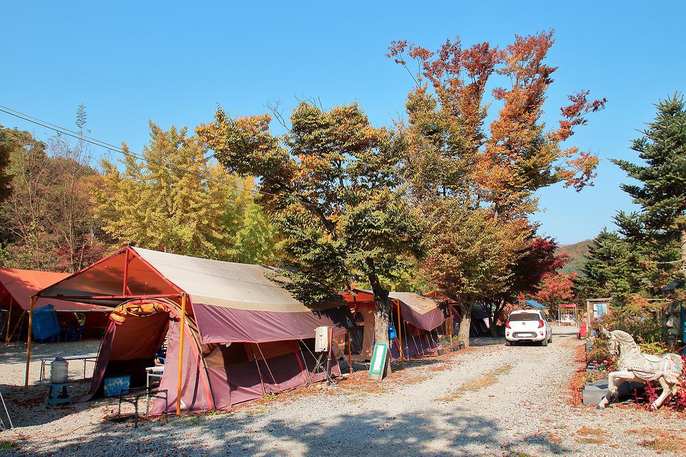 이지캠핑장