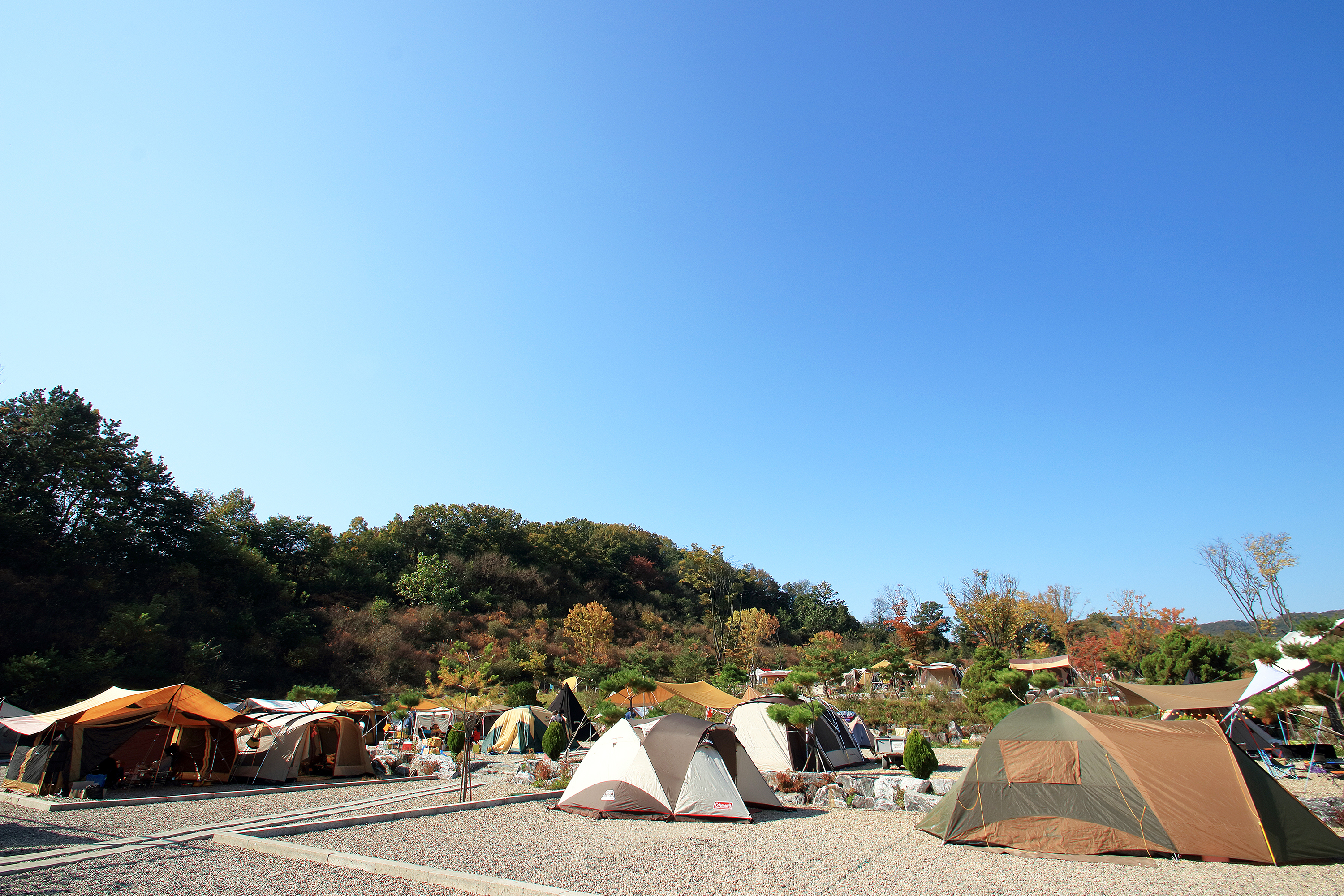 인디어라운드(Indiaround)