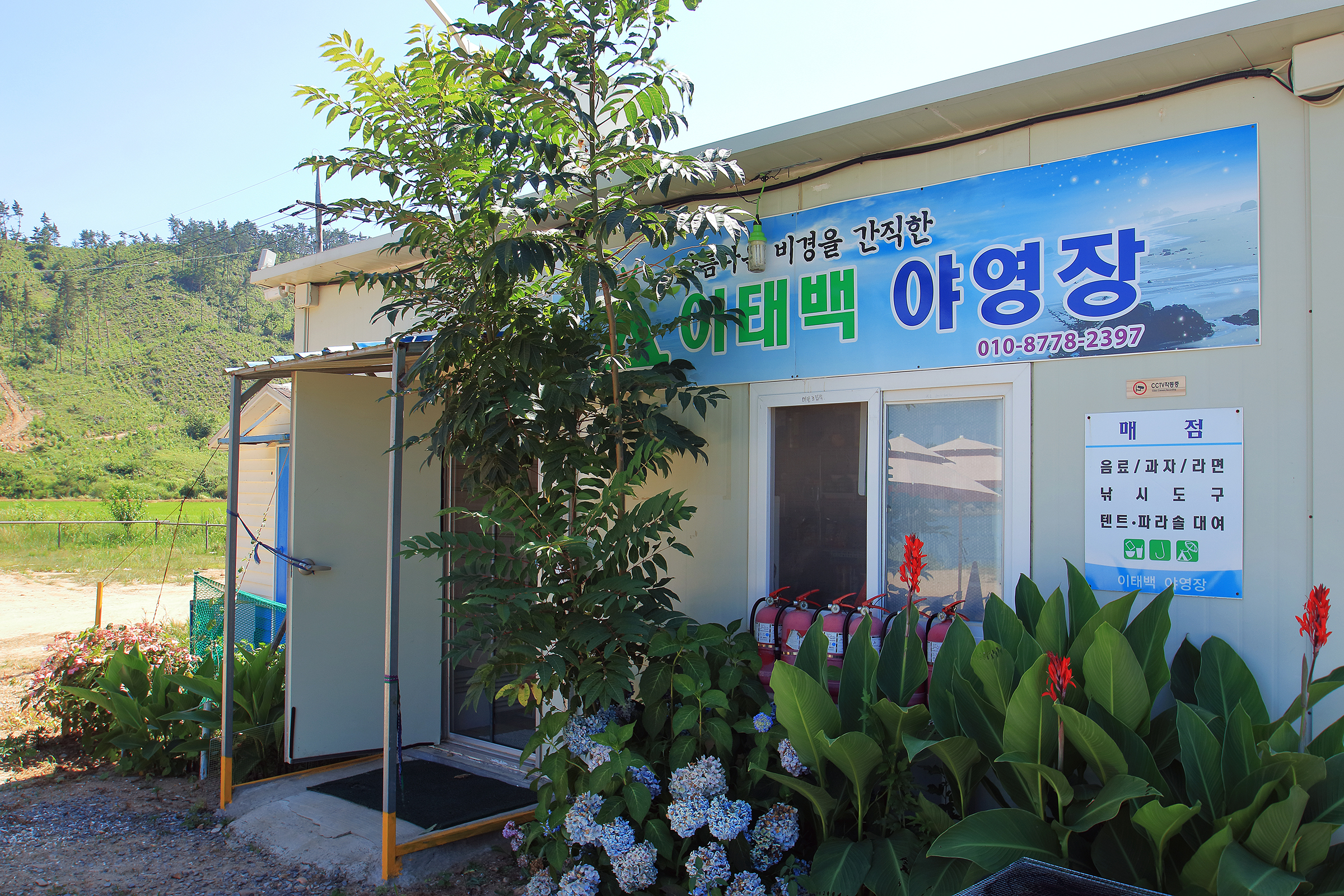 이태백 야영장