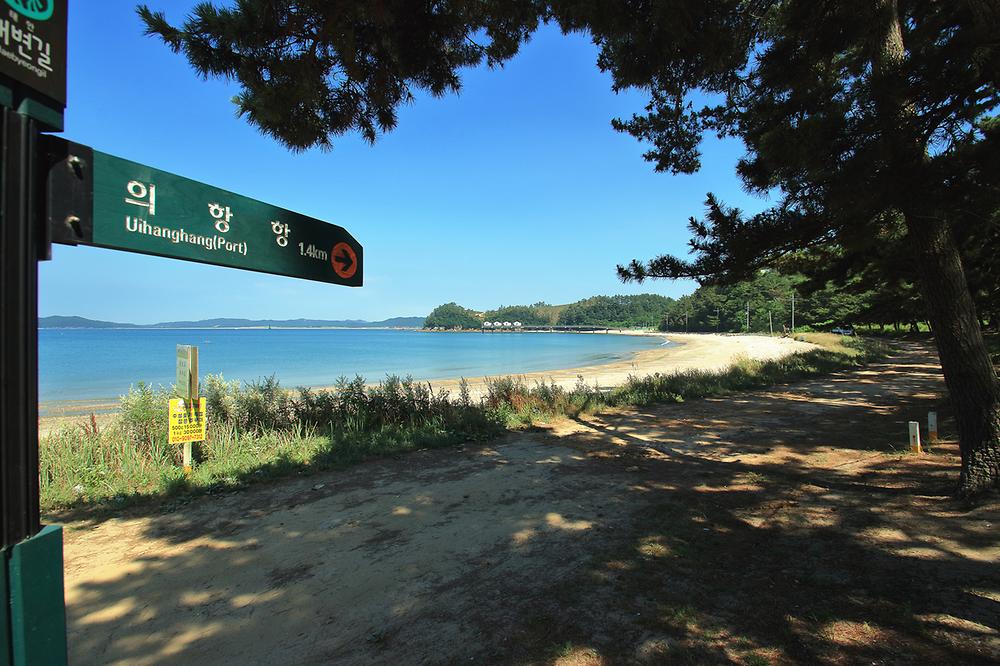 이태백 야영장