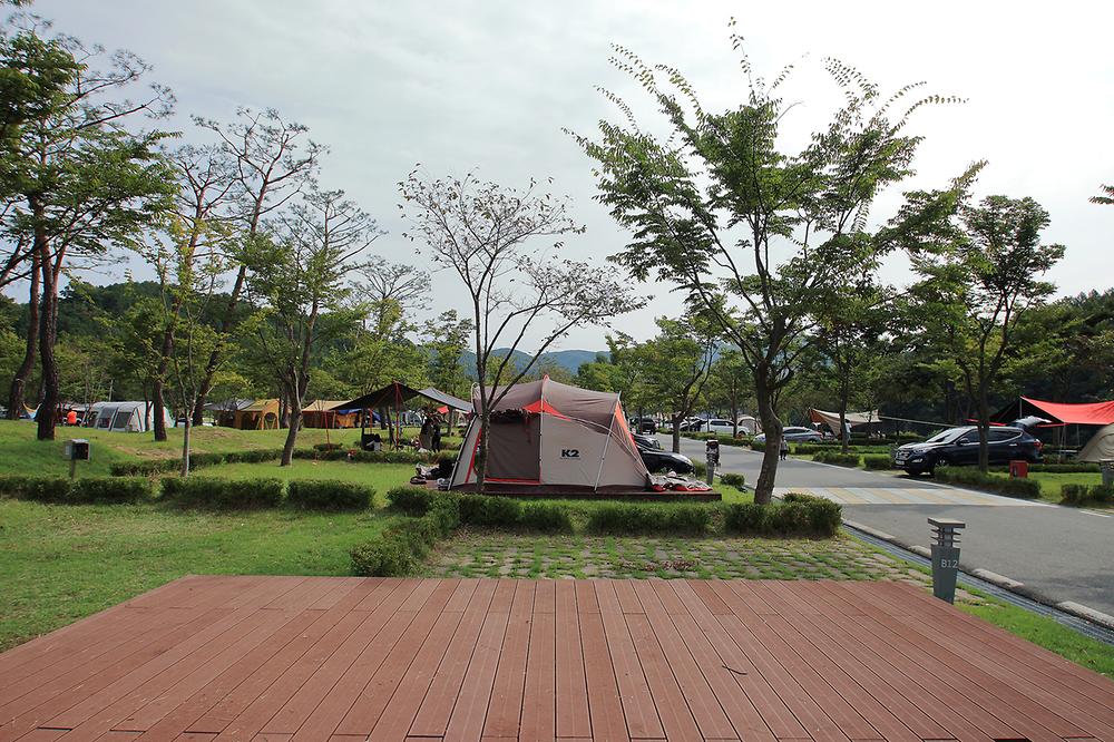 인삼골오토캠핑장
