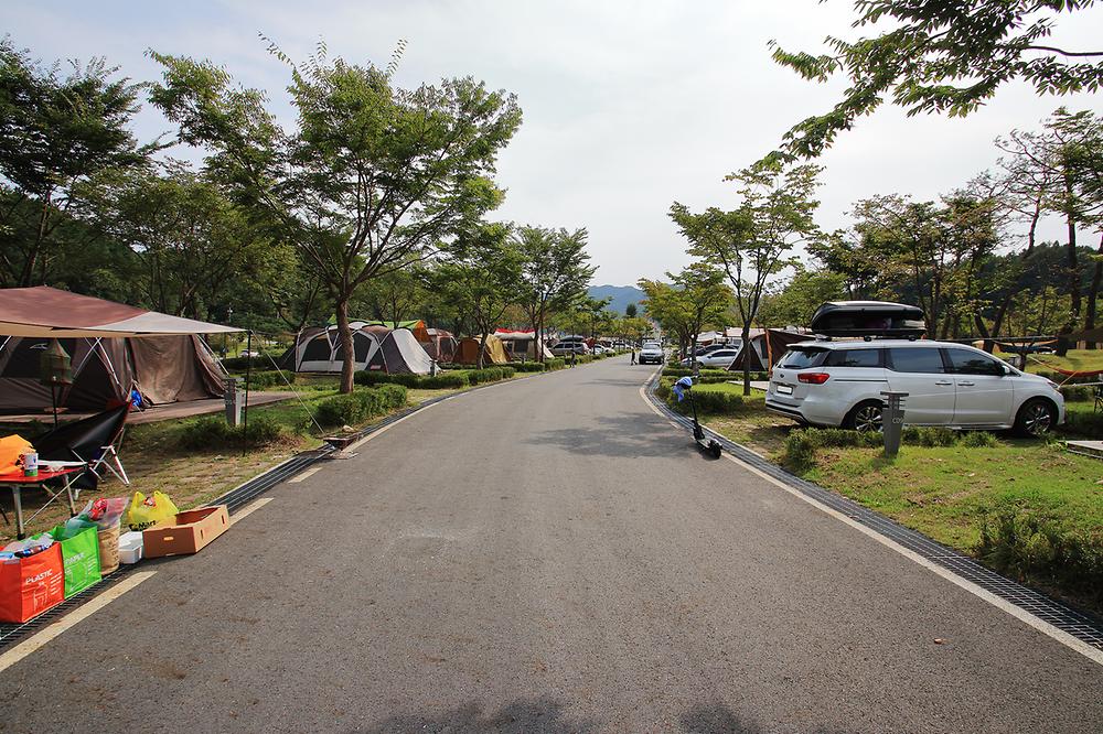 인삼골오토캠핑장