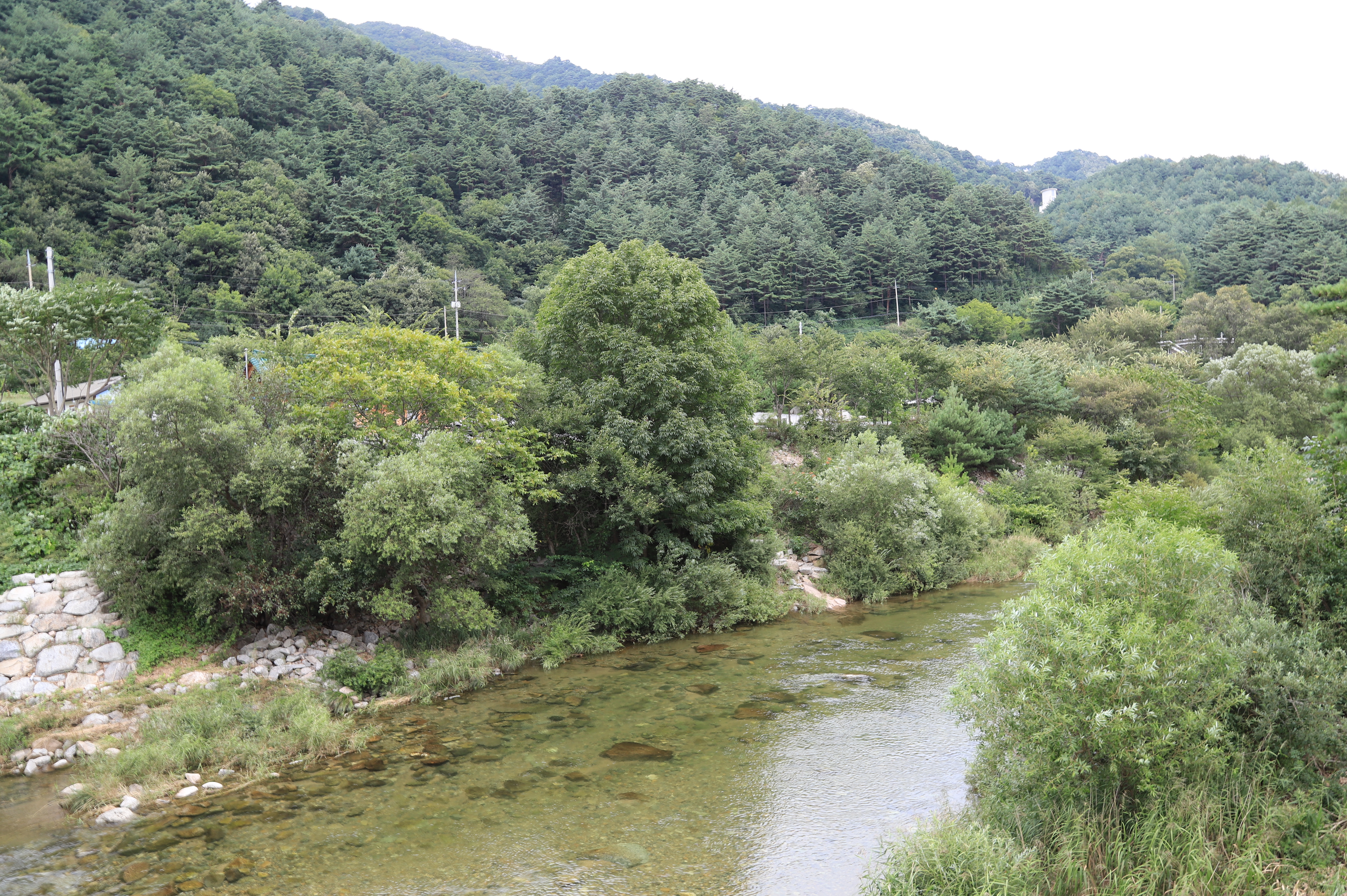 인제연가리오토캠핑장펜션