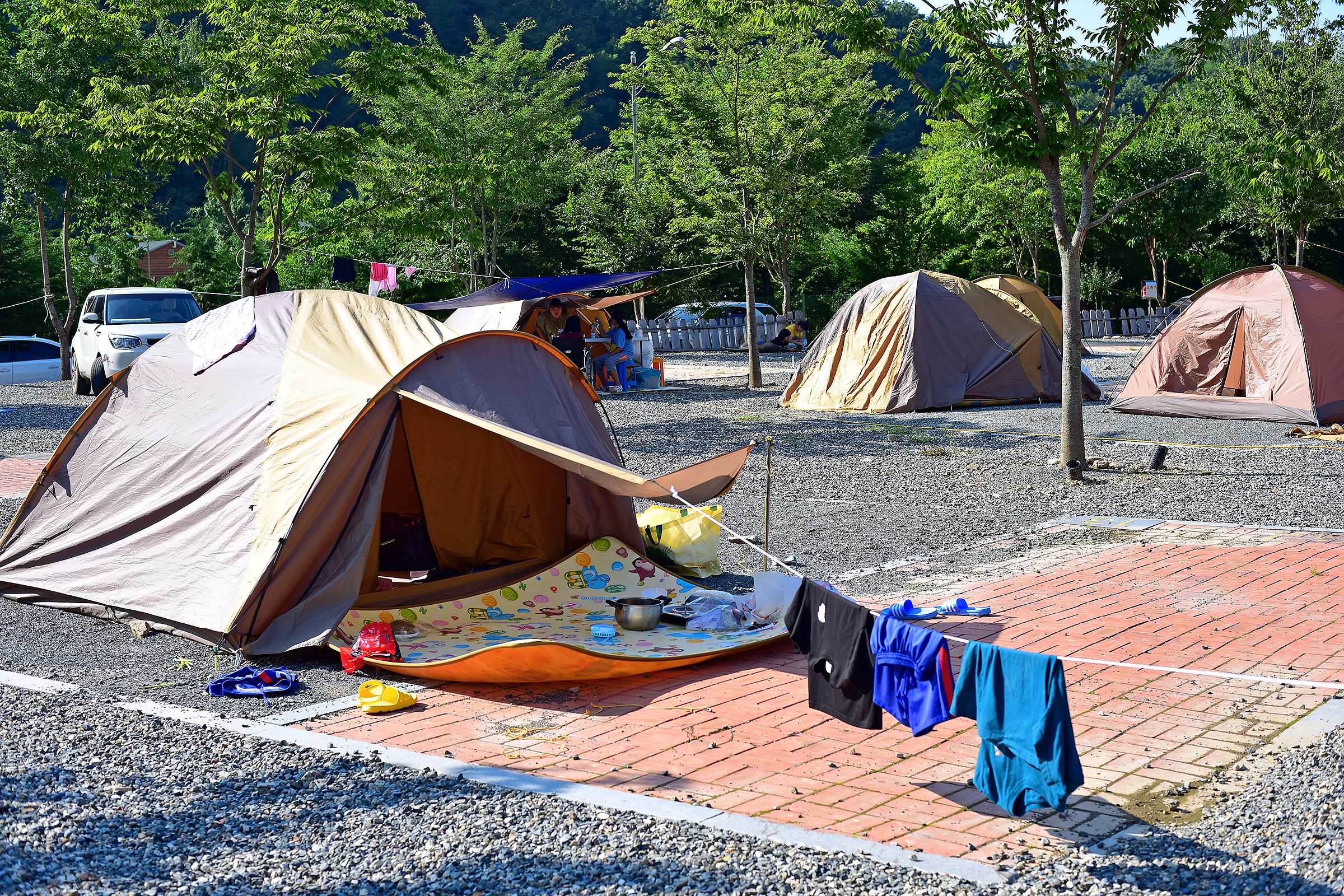 무궁화오토캠핑장
