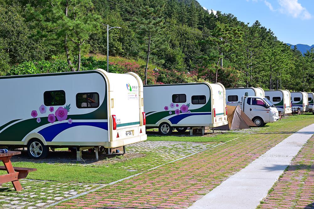 고산 무궁화 오토캠핑장