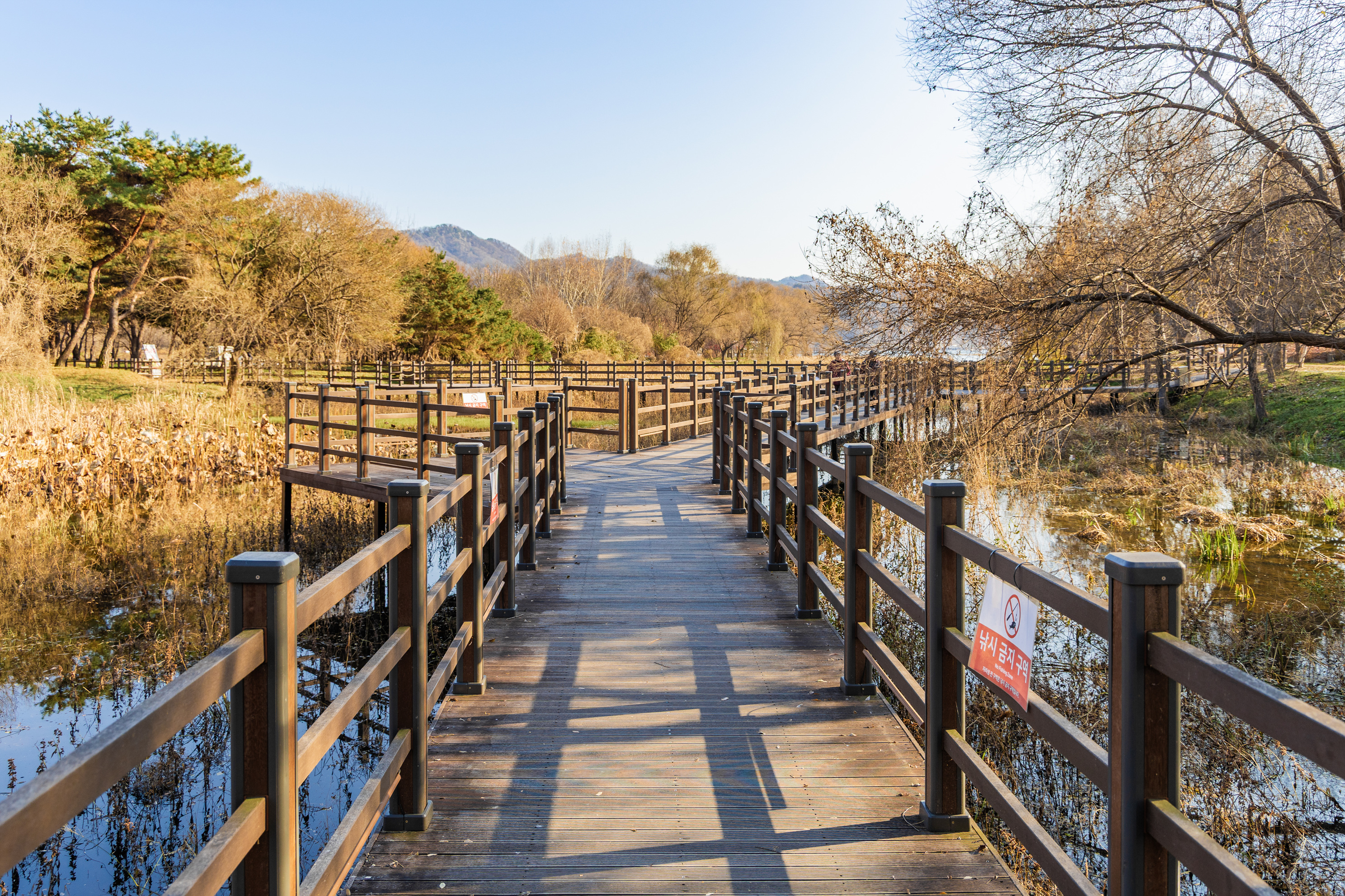 자라섬 캠핑장
