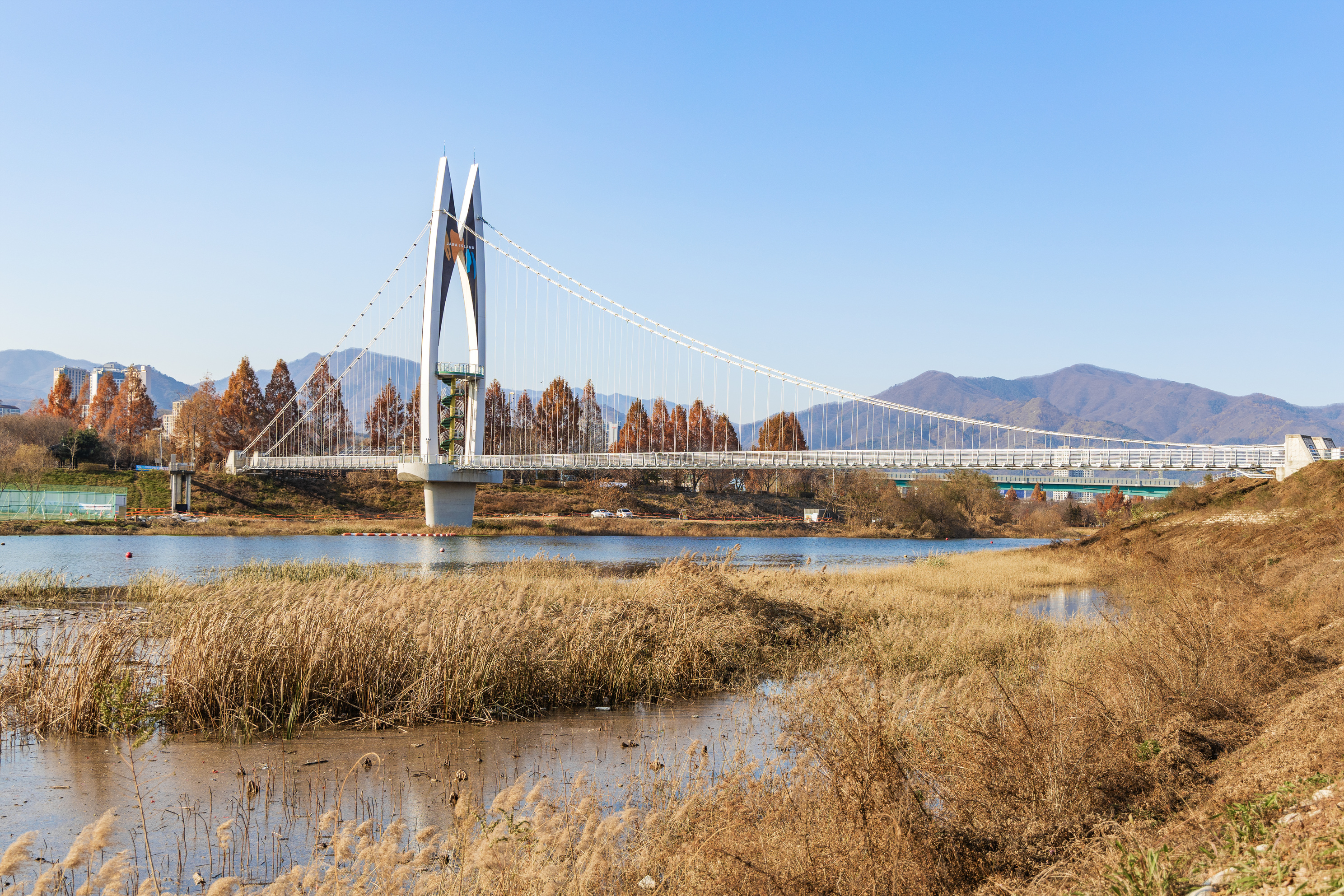자라섬 캠핑장