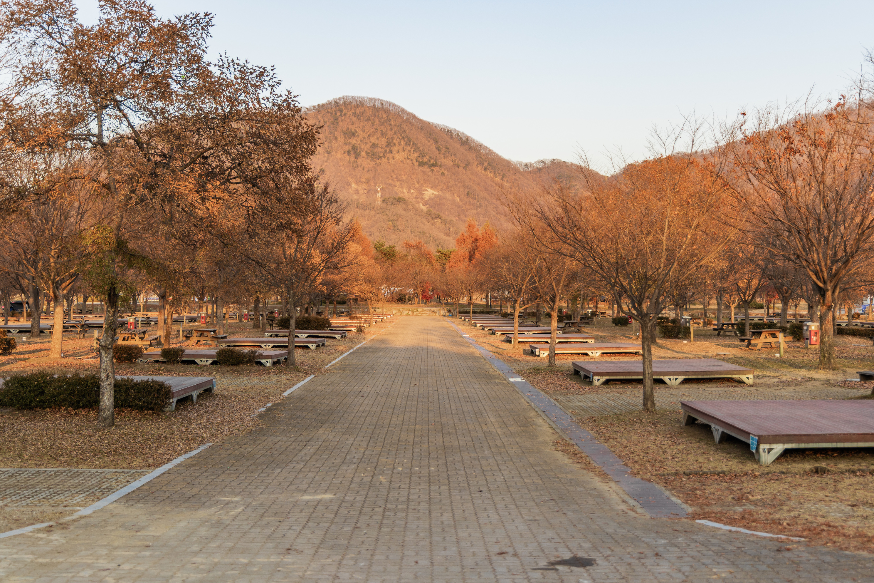 자라섬 캠핑장