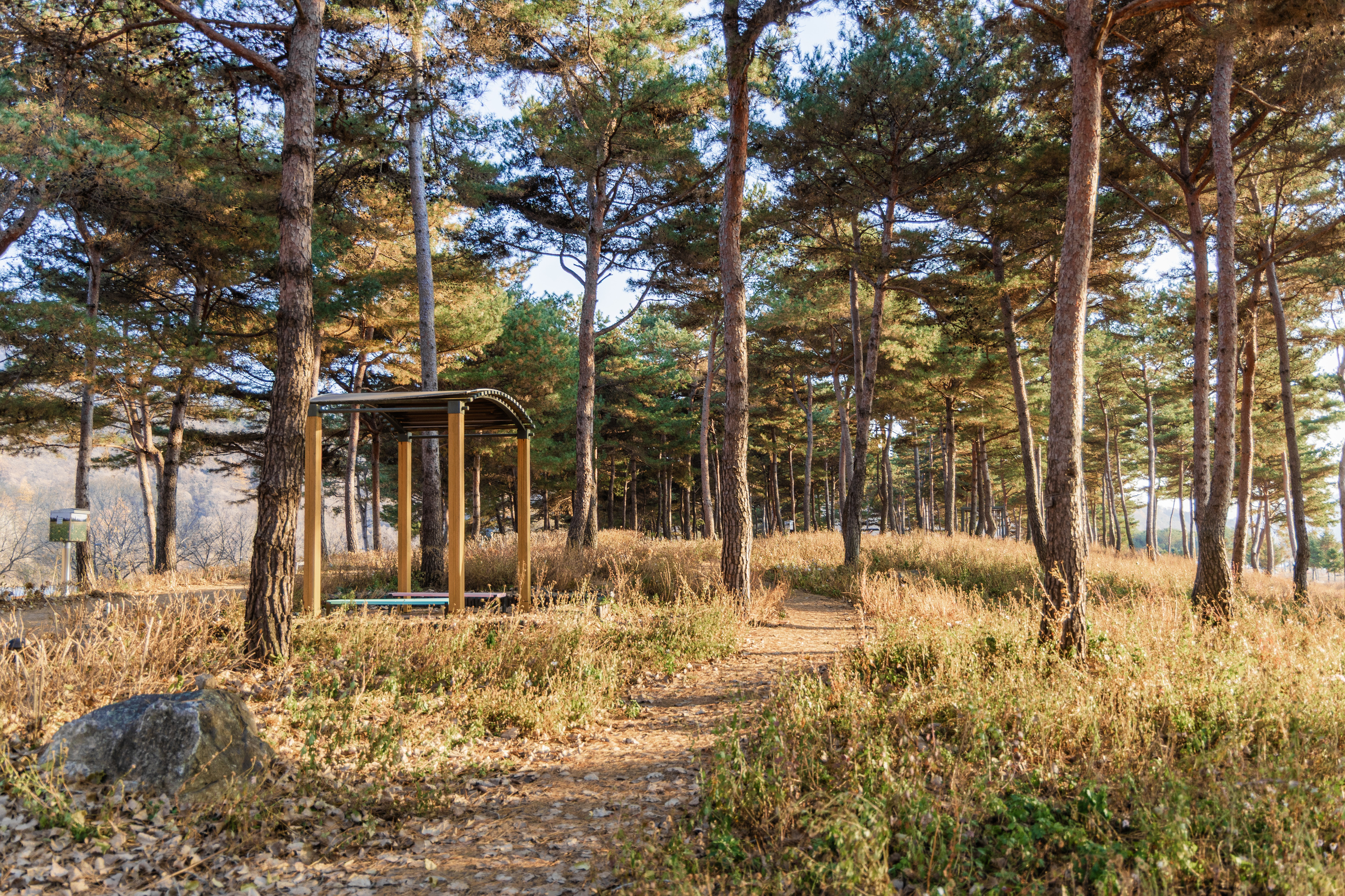 자라섬 캠핑장