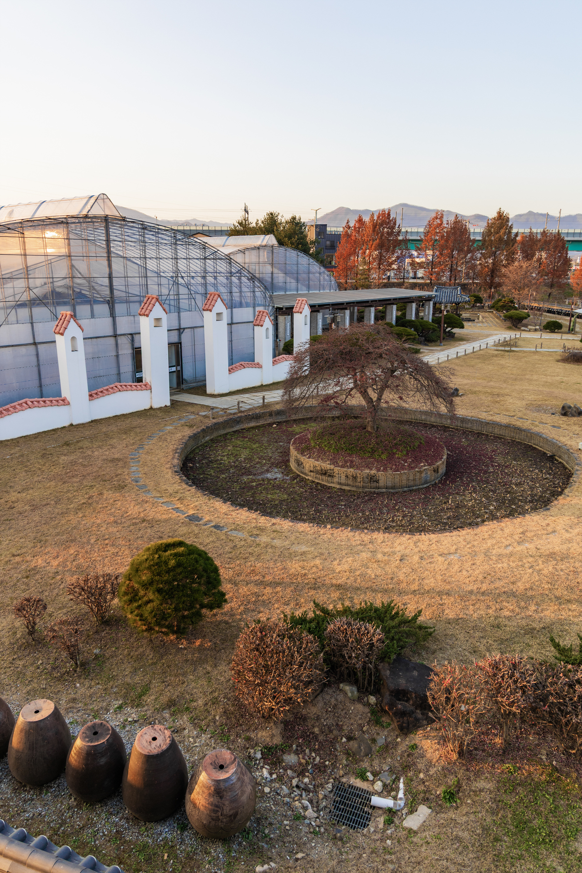 자라섬 캠핑장
