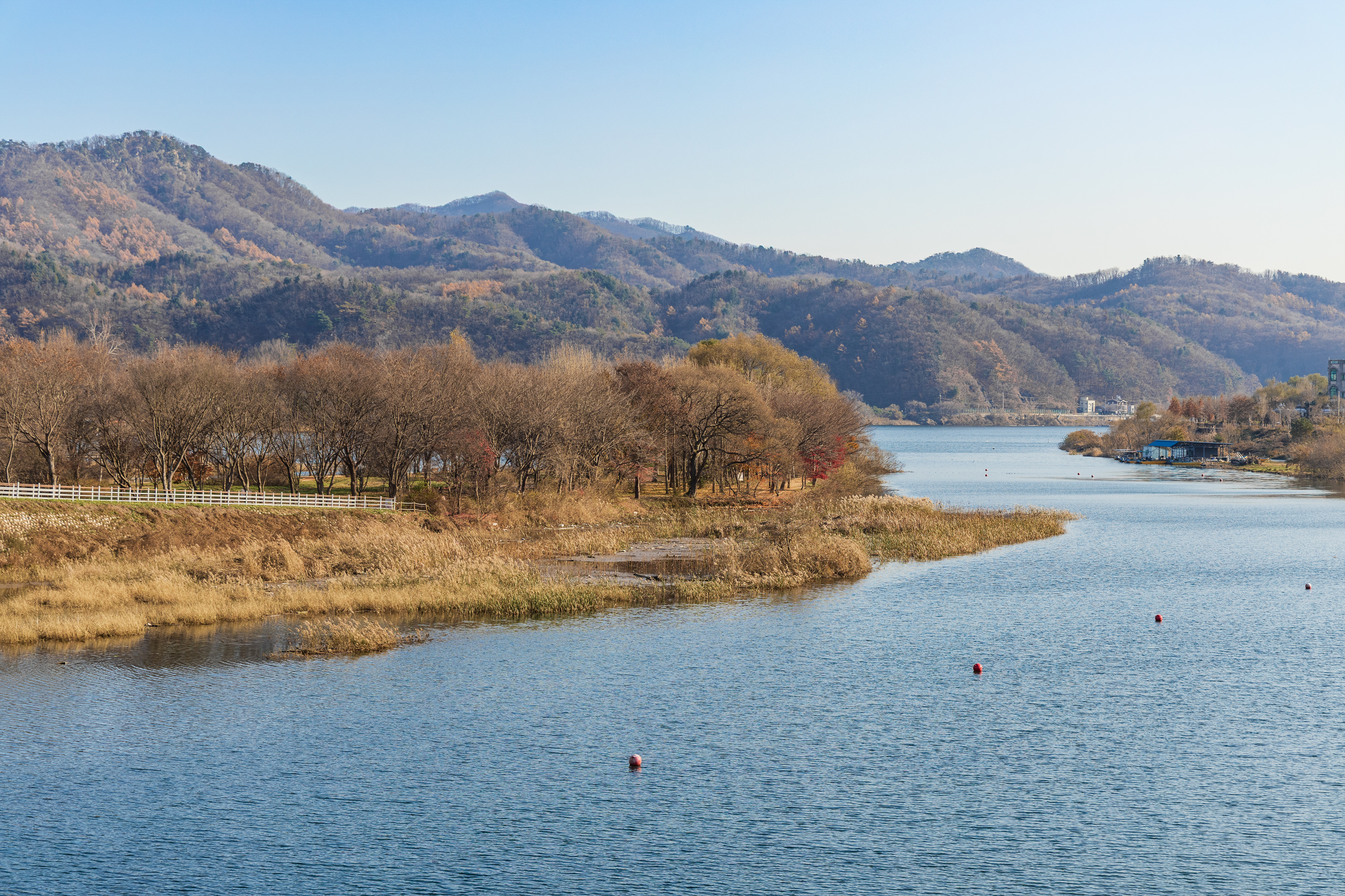 자라섬 캠핑장