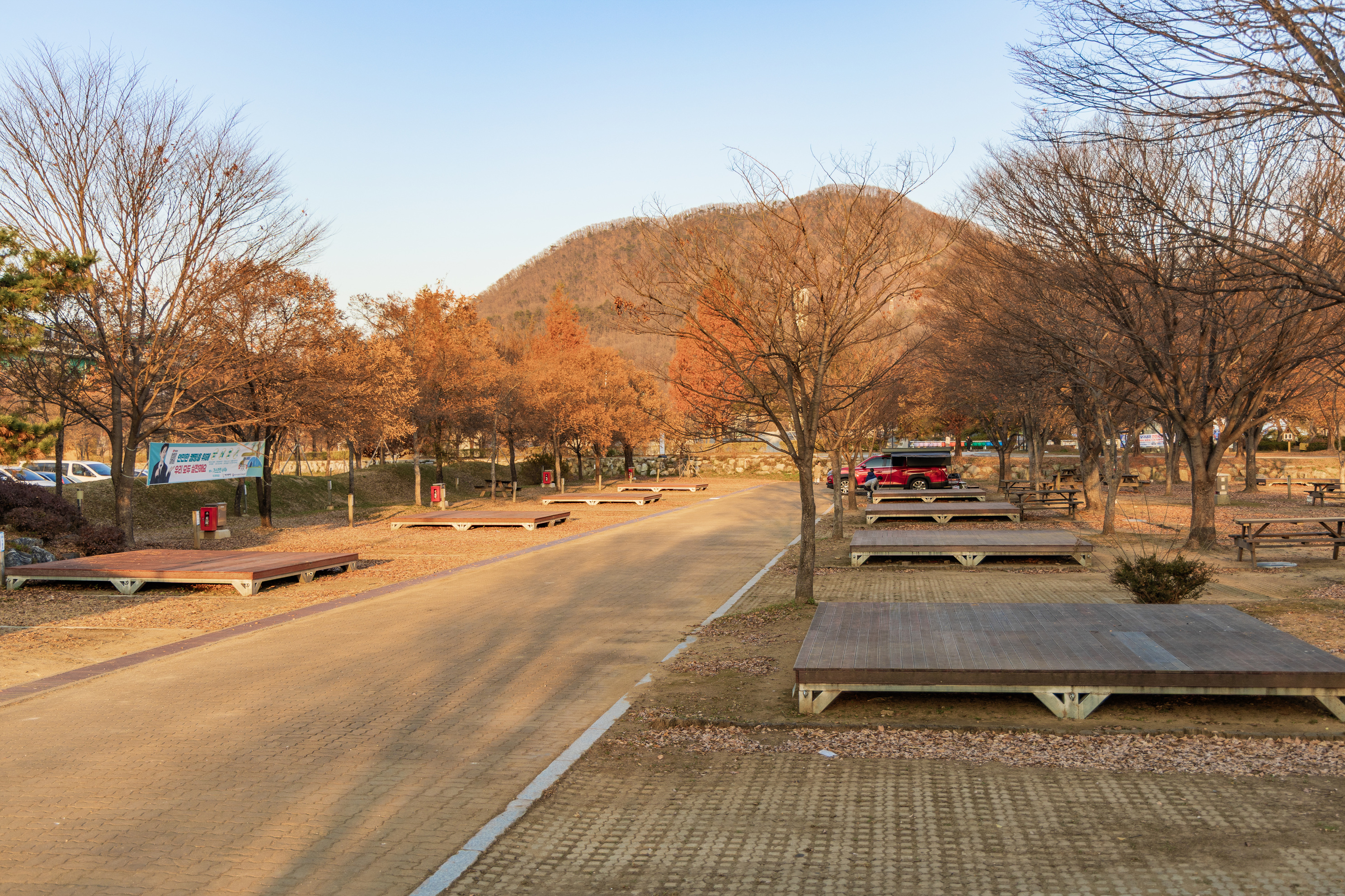 자라섬 캠핑장