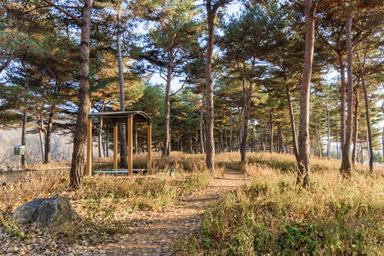 캠핑장소개 이미지