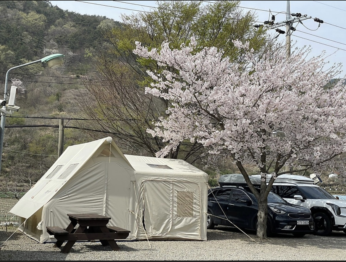 고성 장좌리 캠핑장