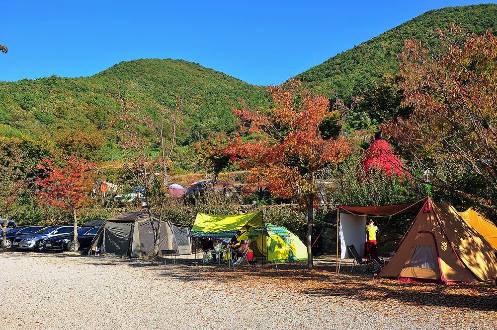 고성 장좌리 캠핑장