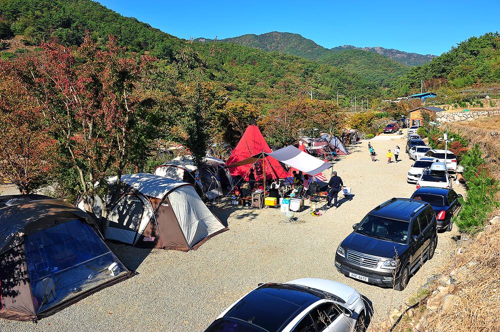 고성 장좌리 캠핑장