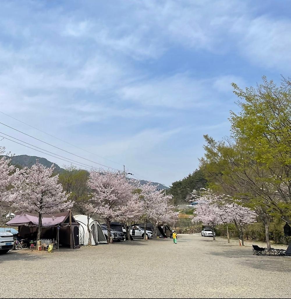 고성 장좌리 캠핑장