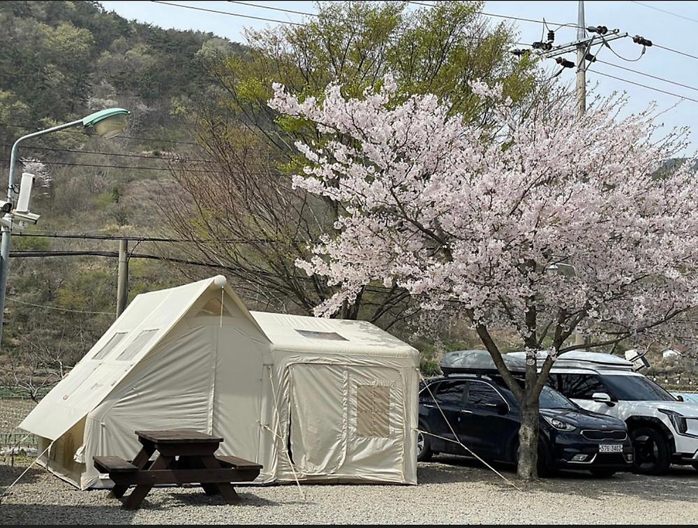 고성 장좌리 캠핑장