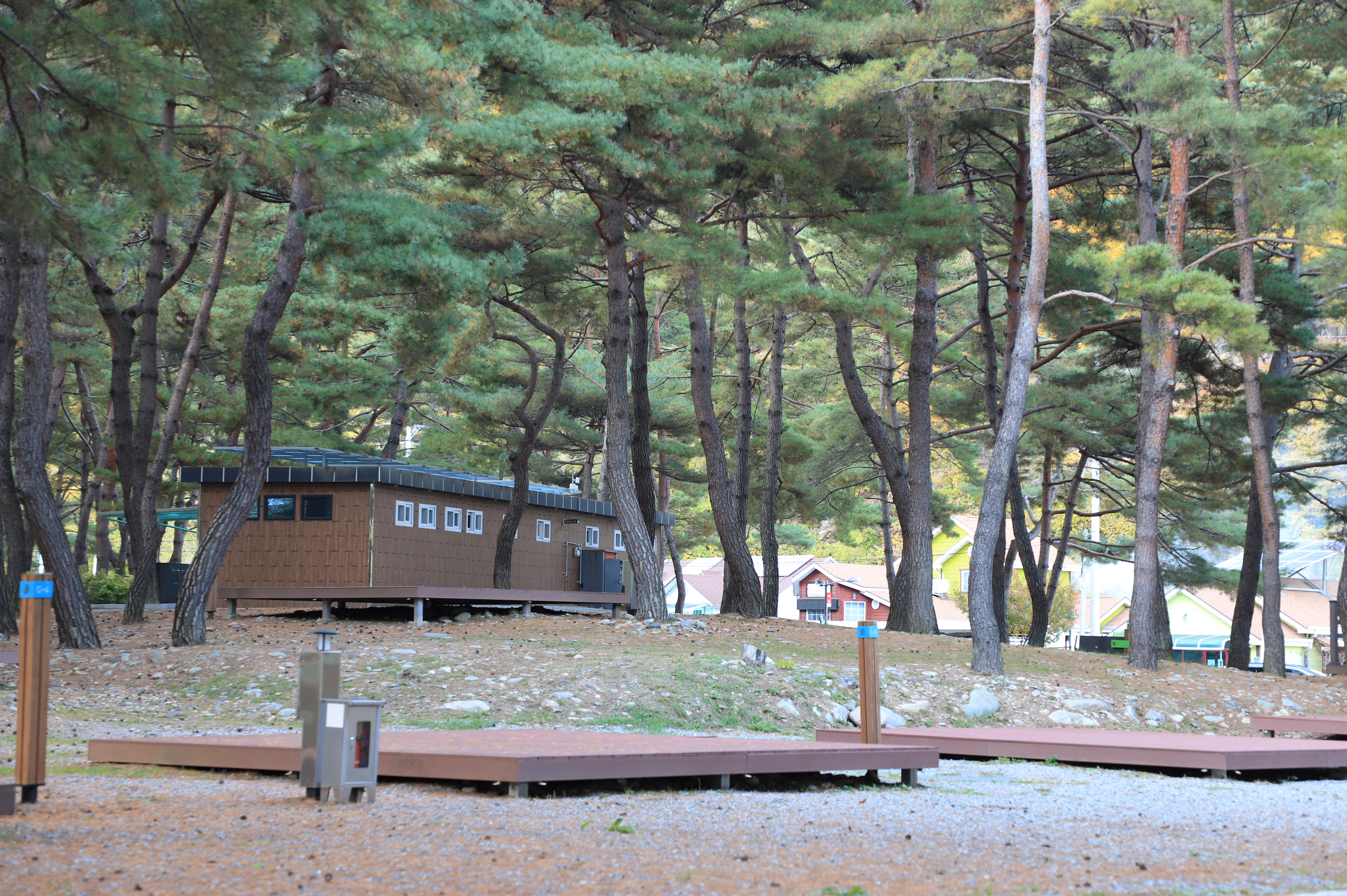 회동솔향캠핑장