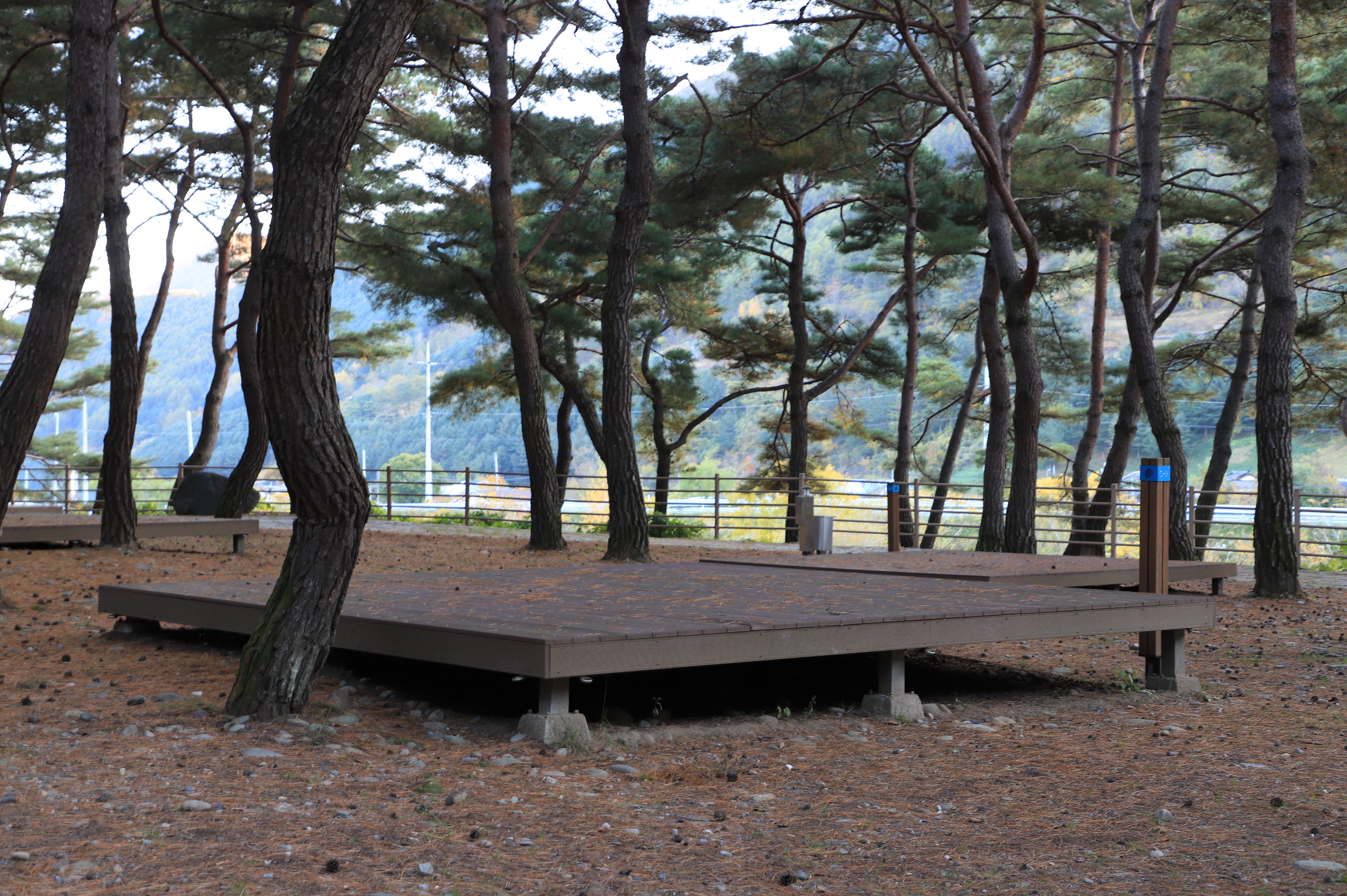 회동솔향캠핑장