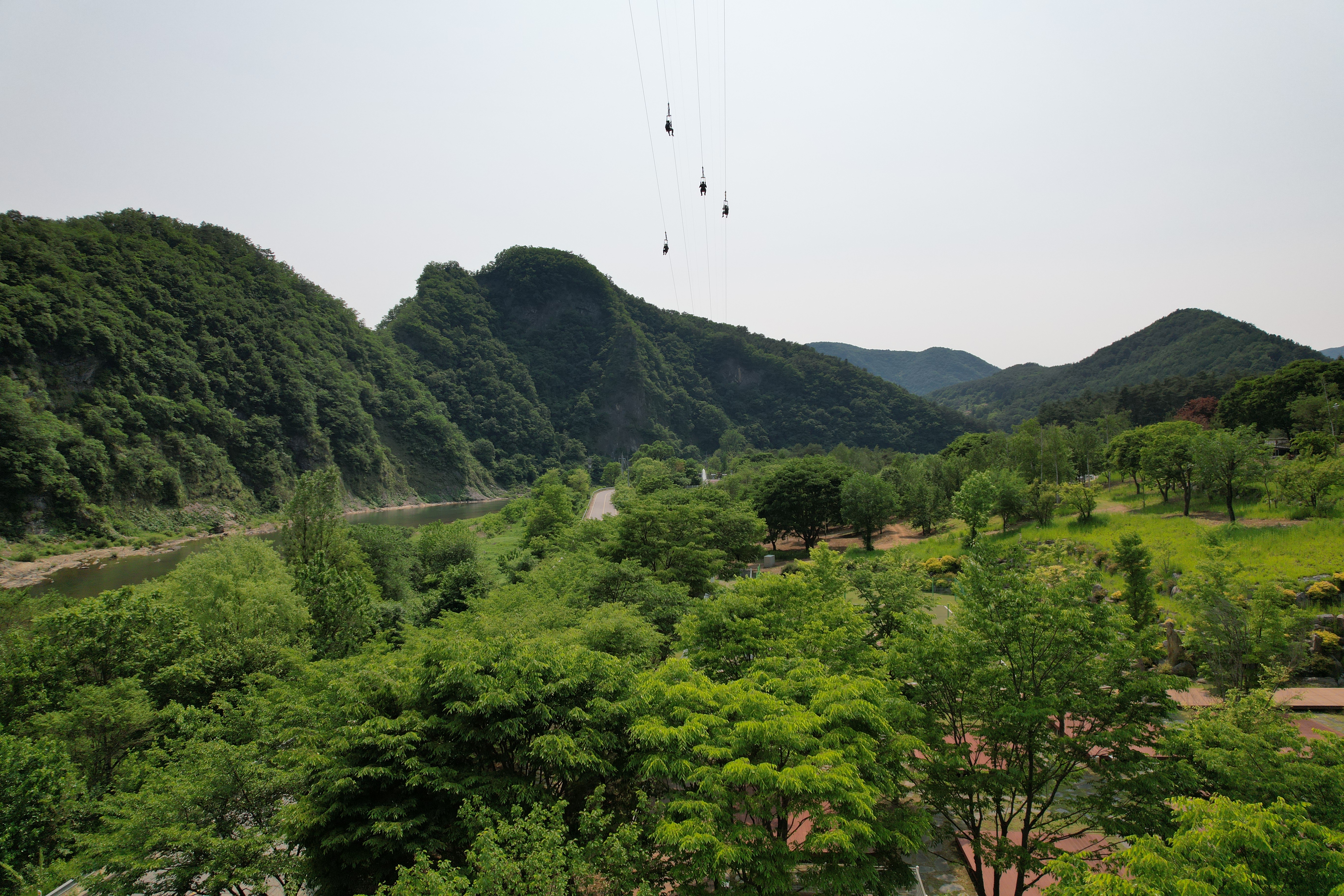 정선 펫 캠핑장