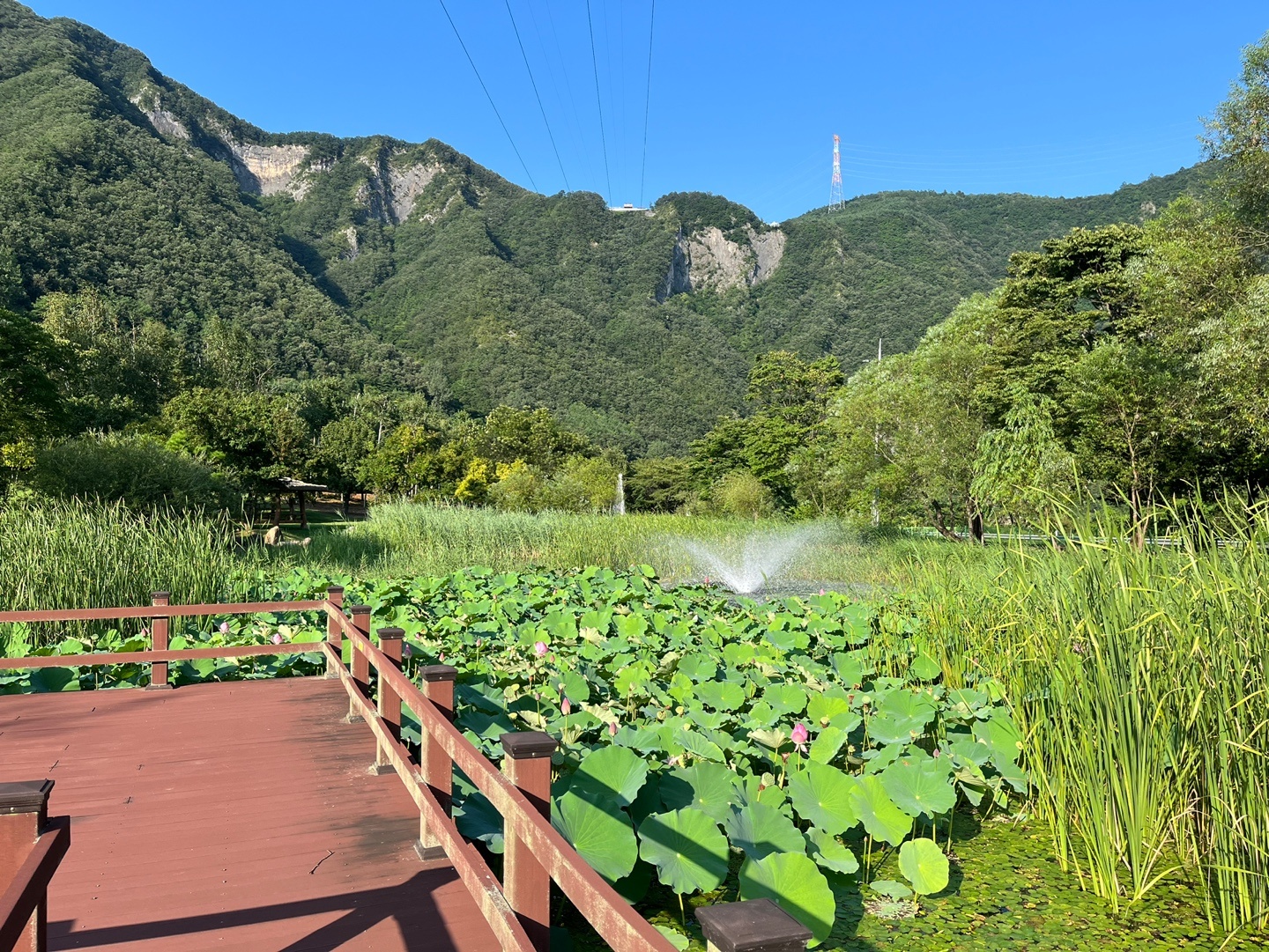 정선군생태체험학습장야영장 펫 동반 캠핑장