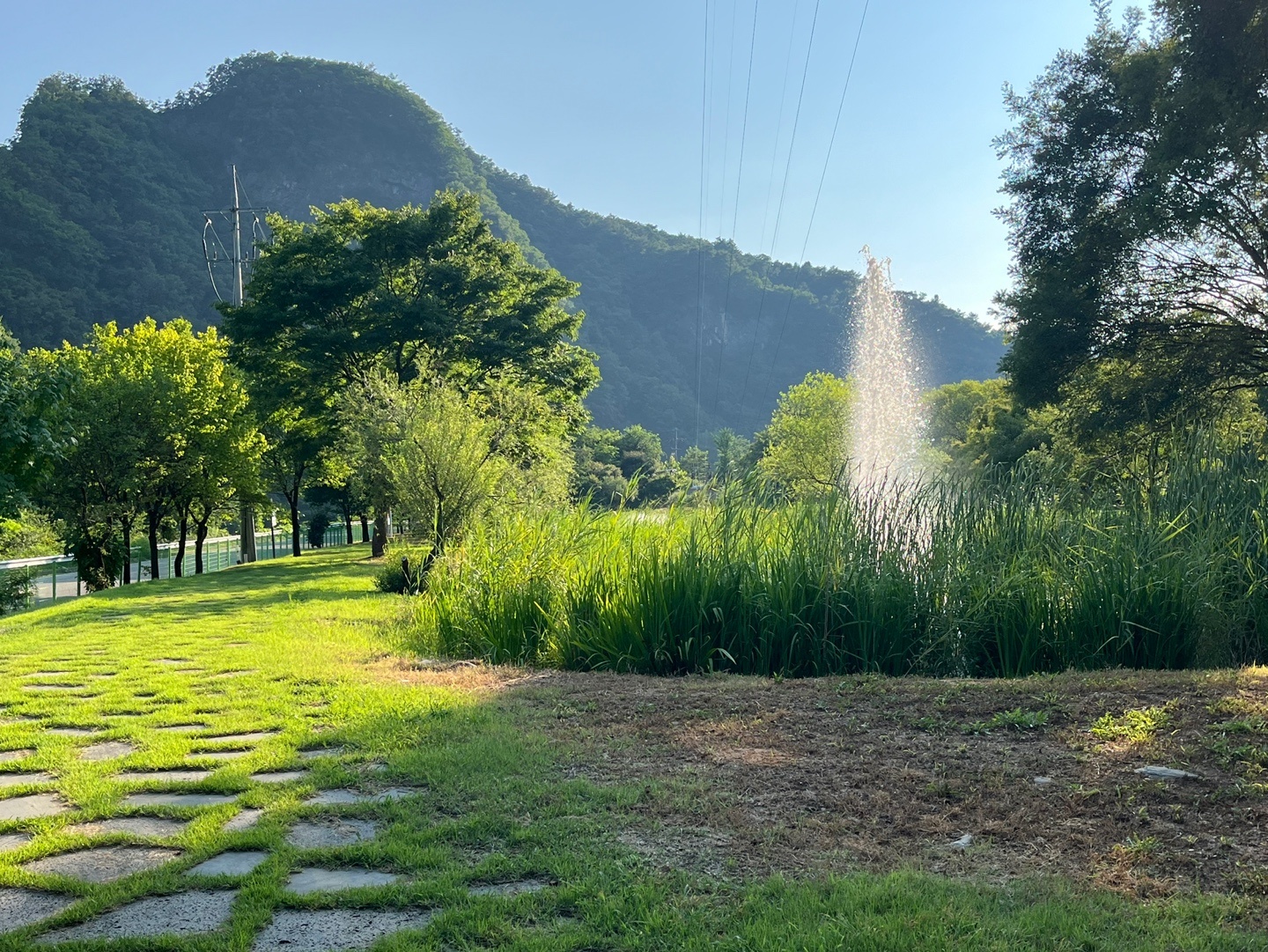 정선군생태체험학습장야영장 펫 동반 캠핑장