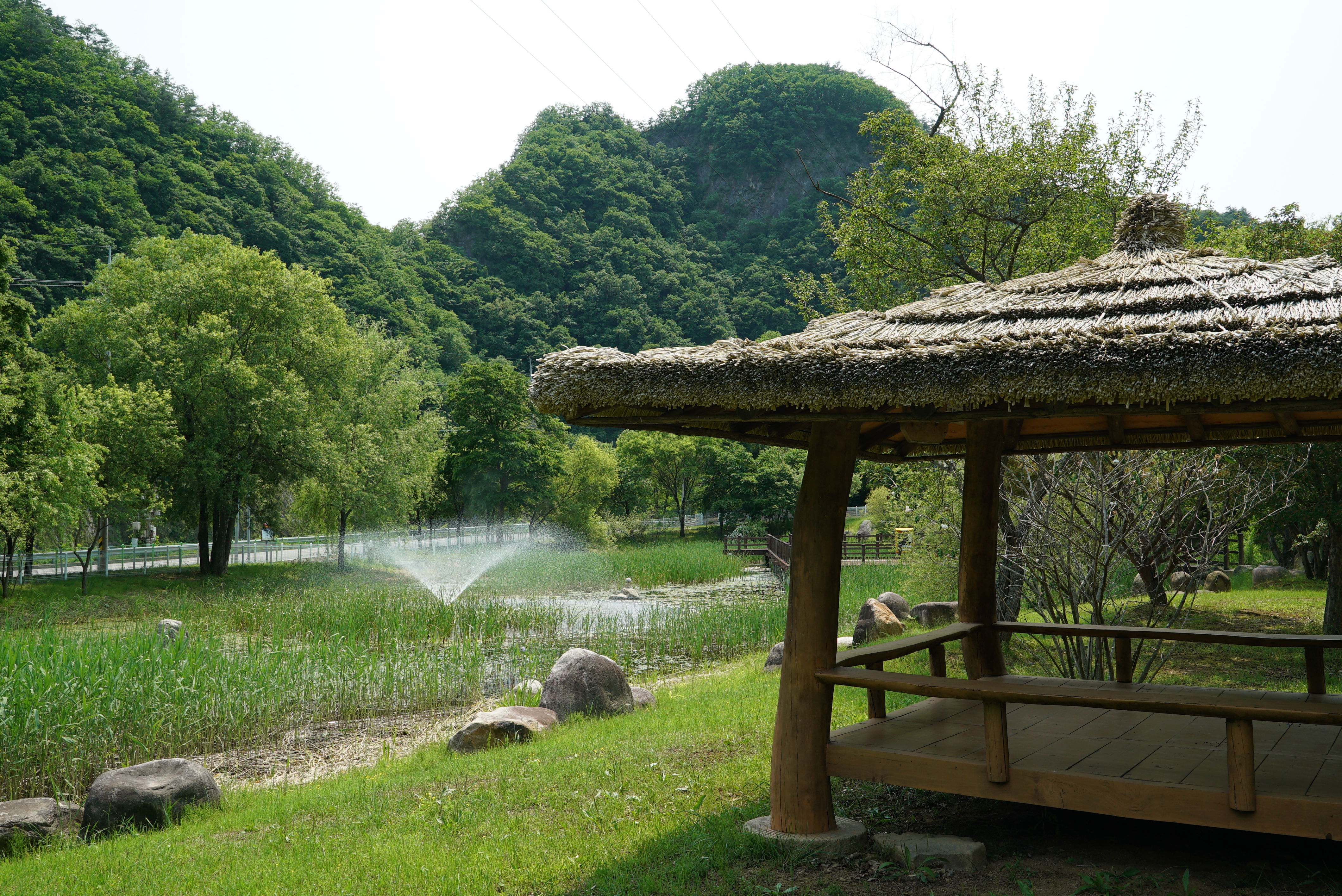 정선 펫 캠핑장