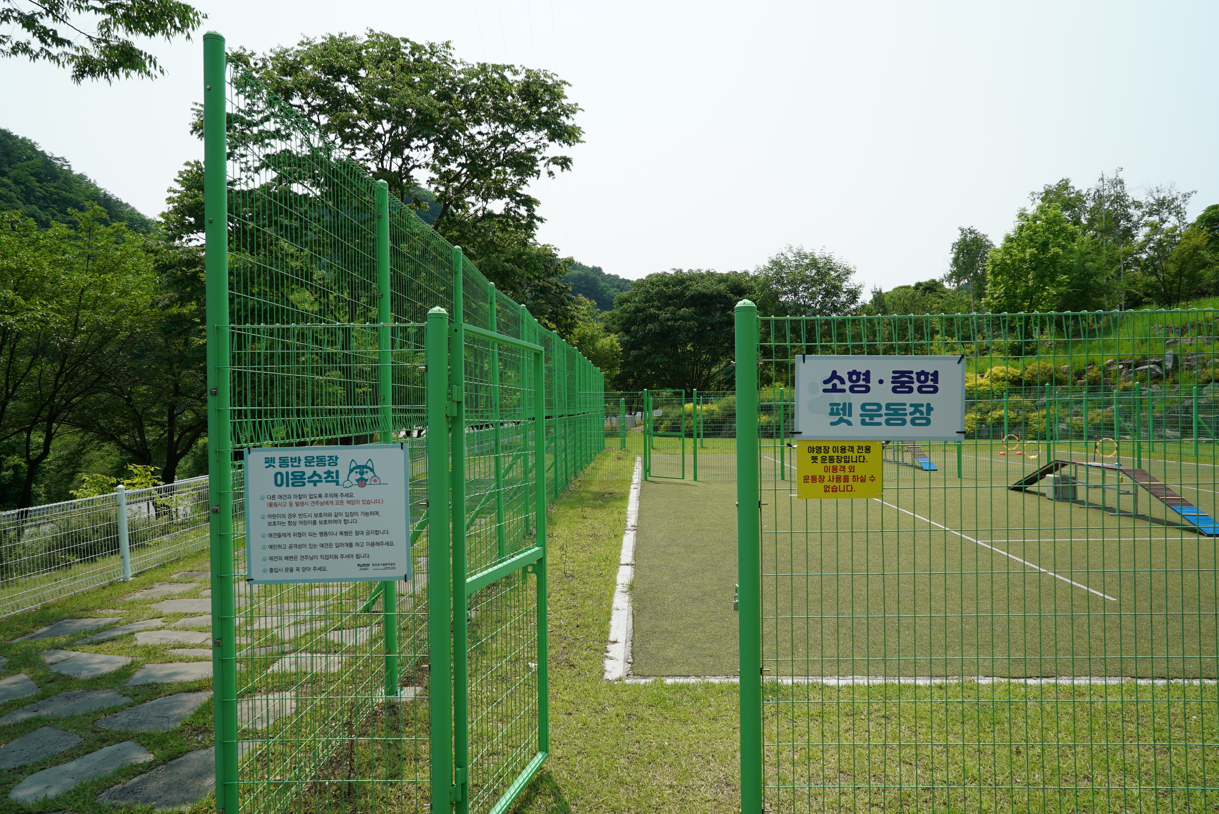 정선 펫 캠핑장