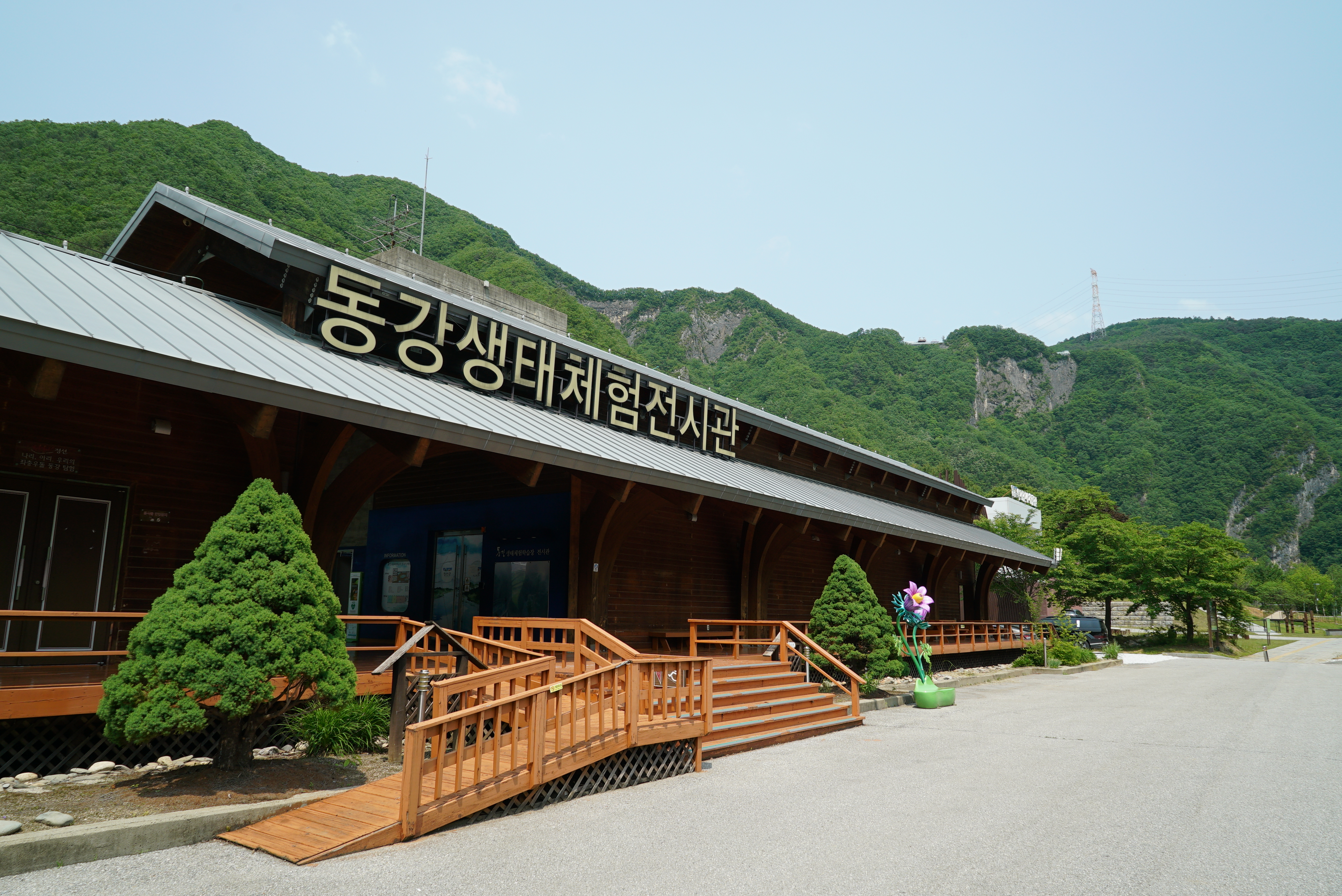 정선 펫 캠핑장