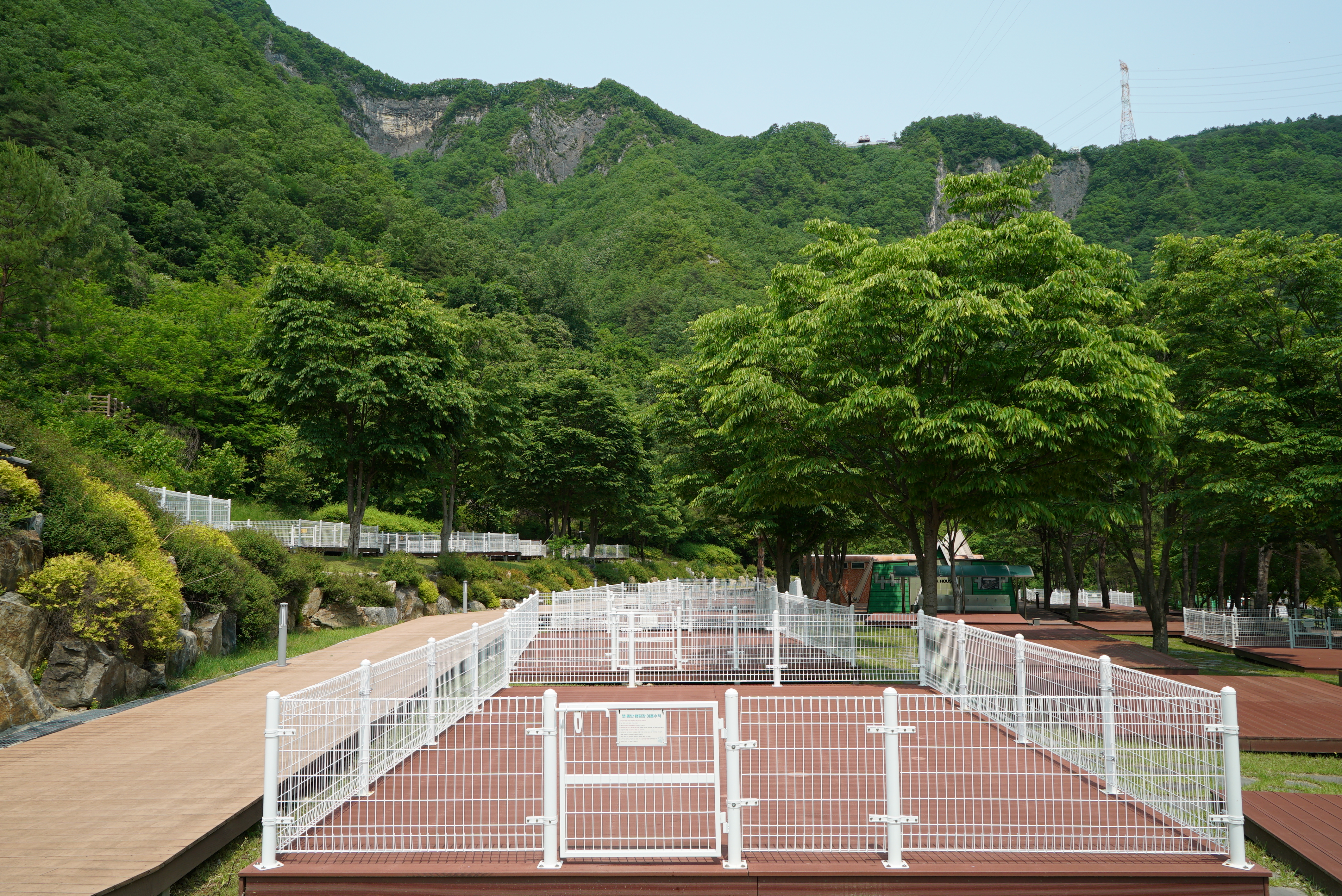 정선 펫 캠핑장