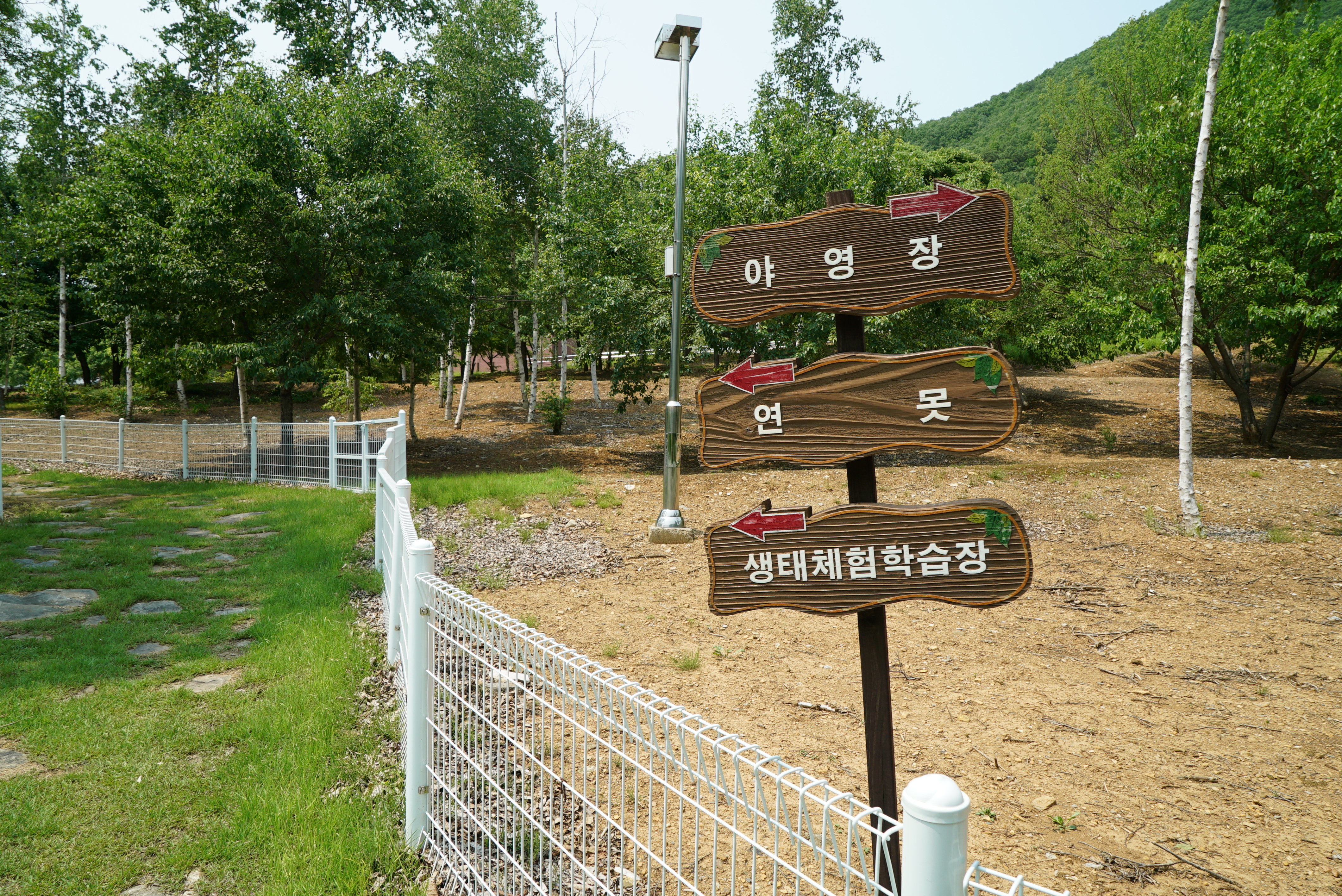 정선 펫 캠핑장