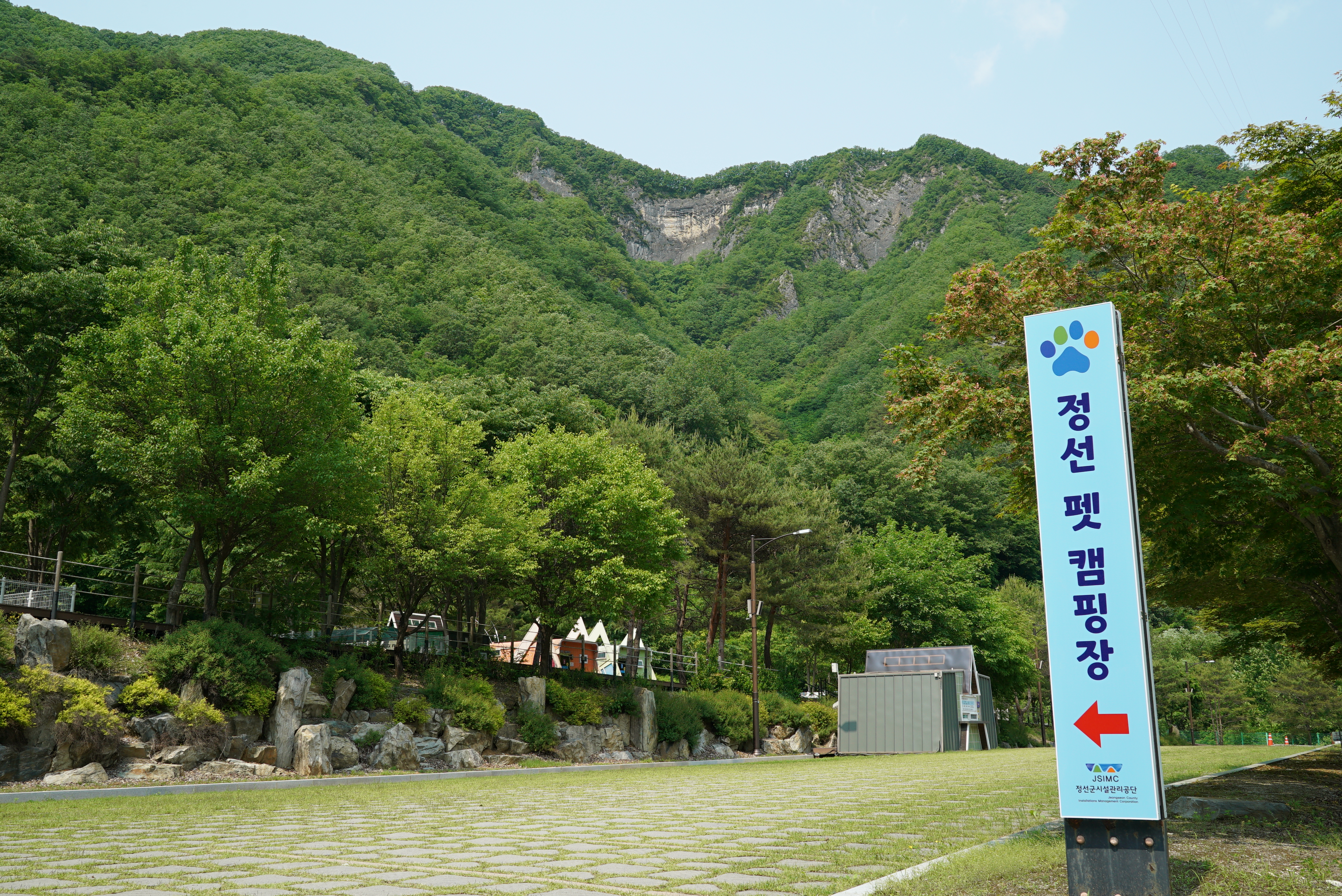 정선 펫 캠핑장