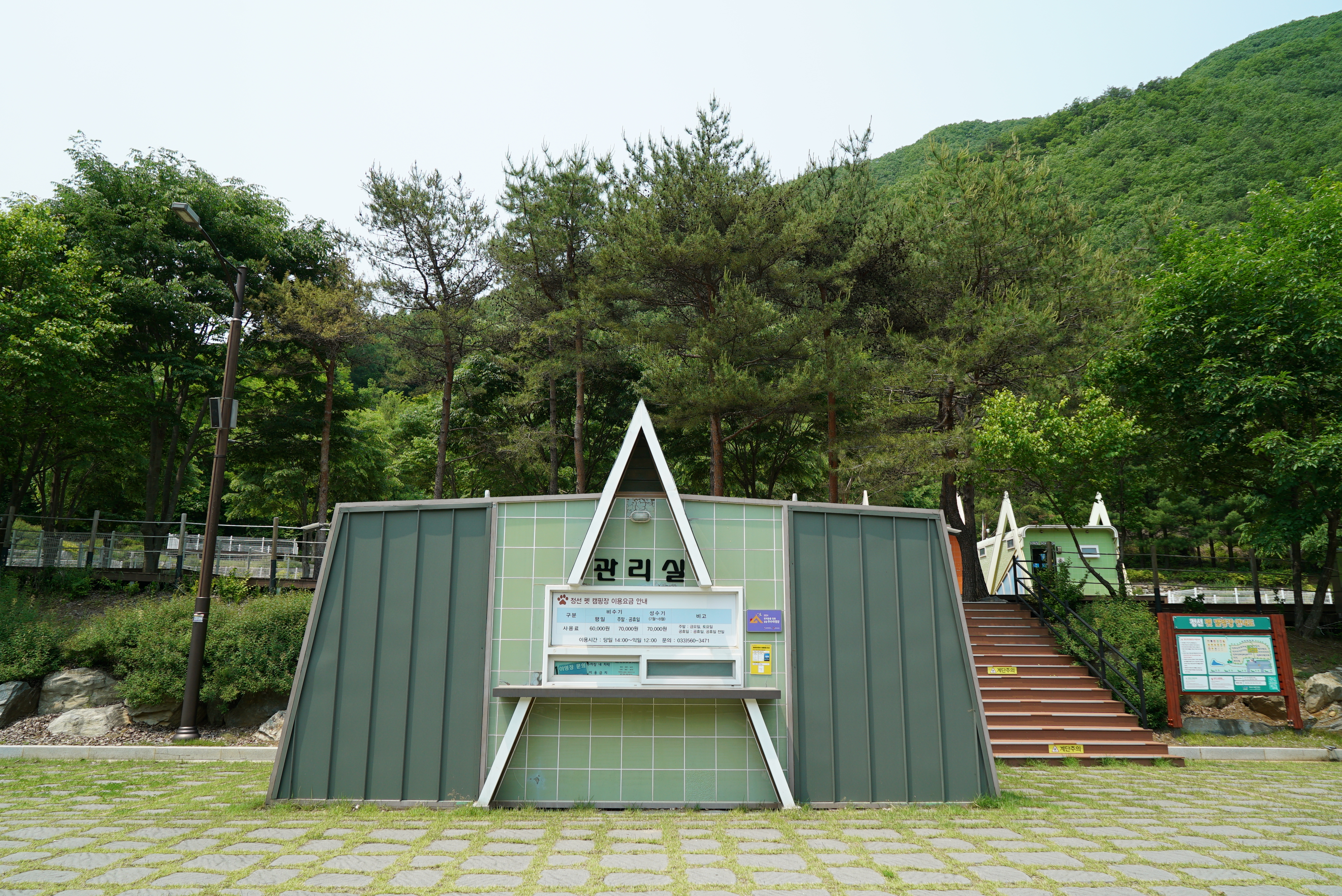 정선 펫 캠핑장