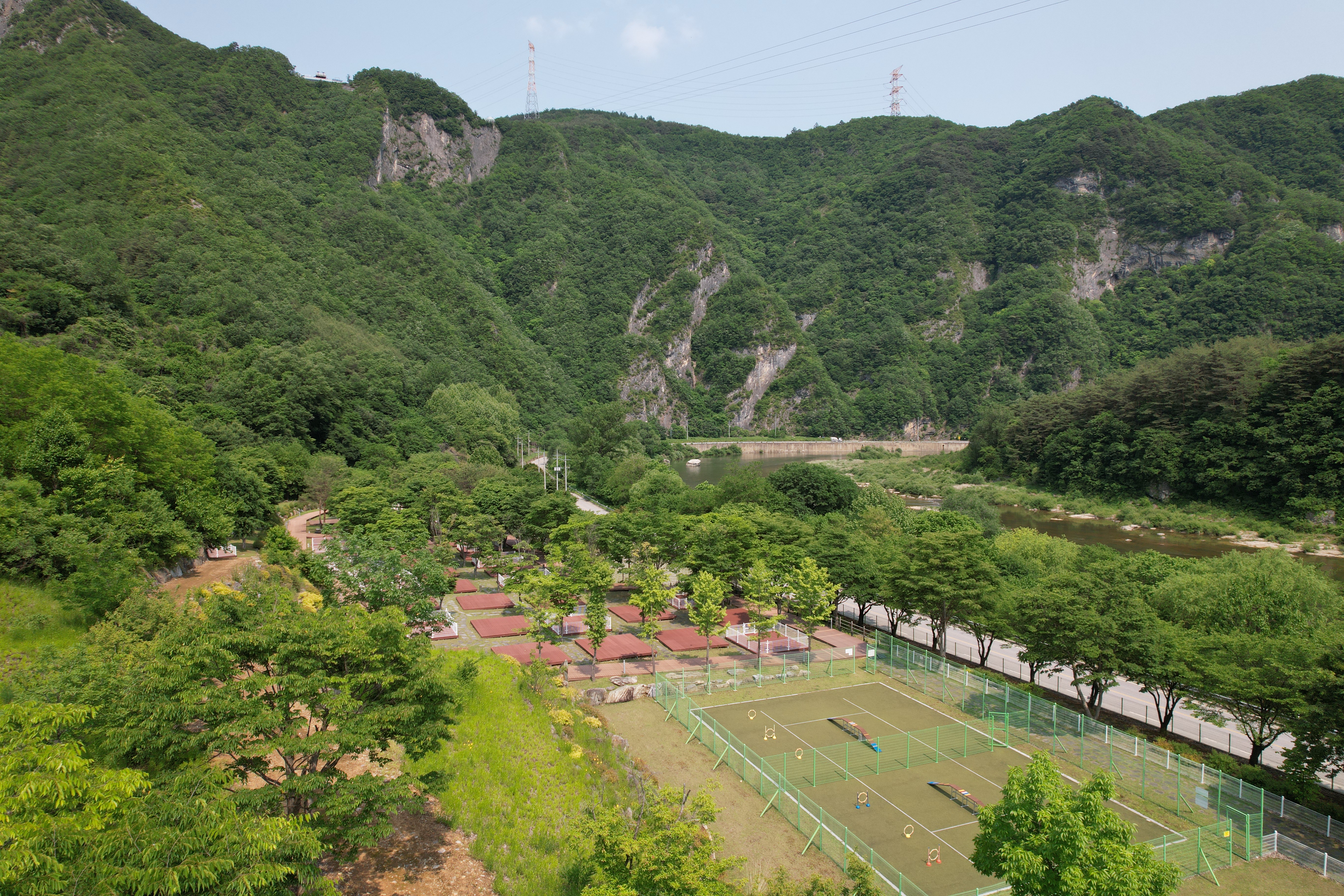 정선 펫 캠핑장