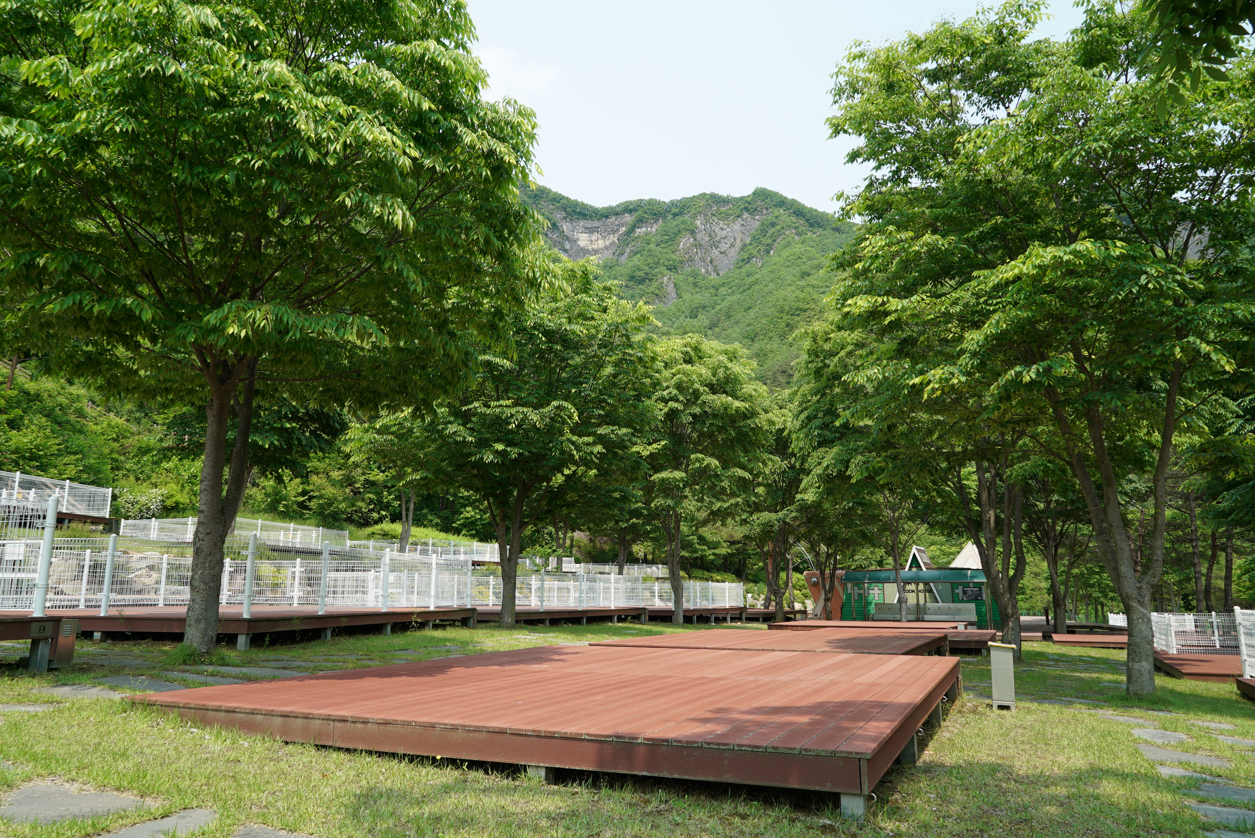 정선 펫 캠핑장