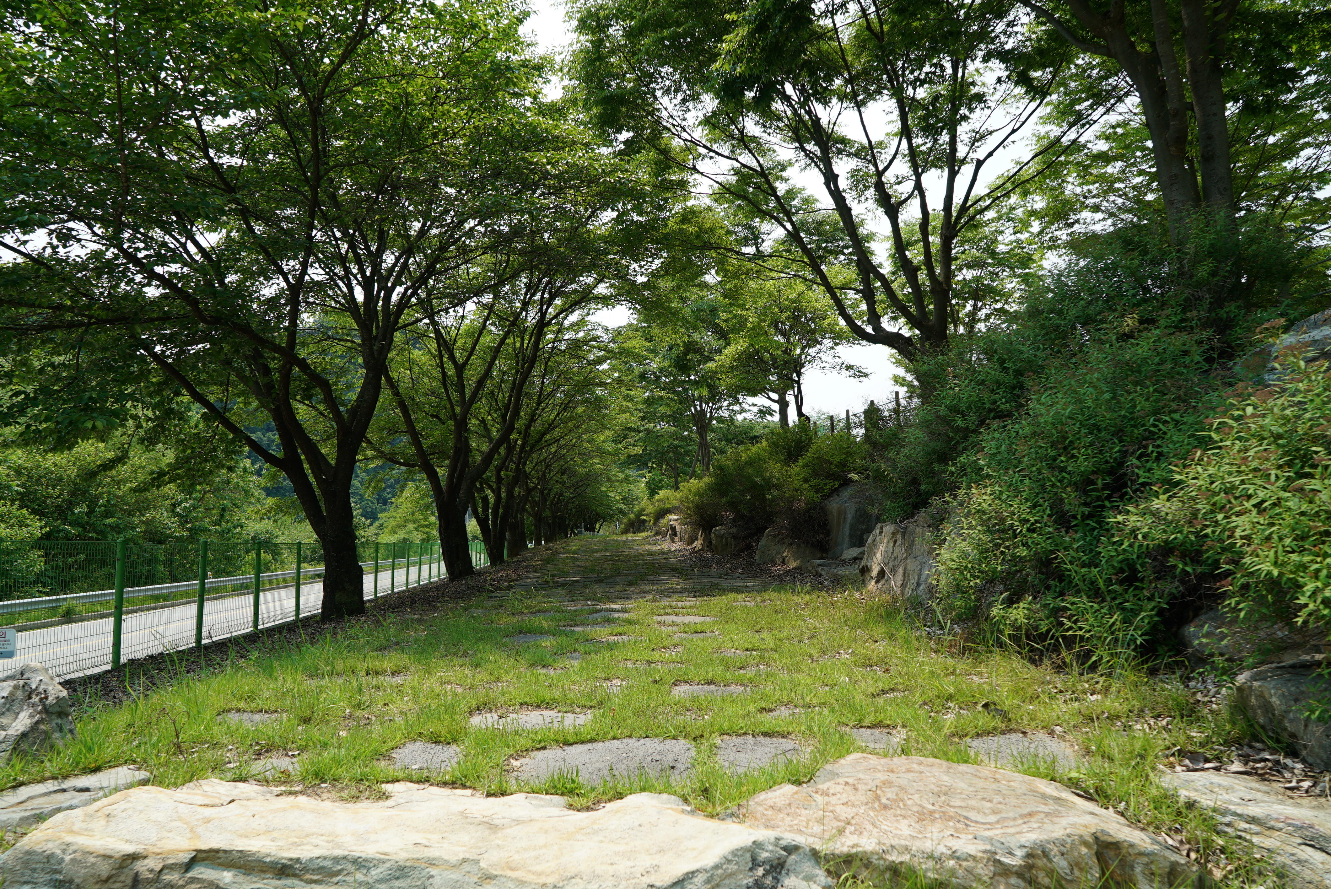 정선 펫 캠핑장