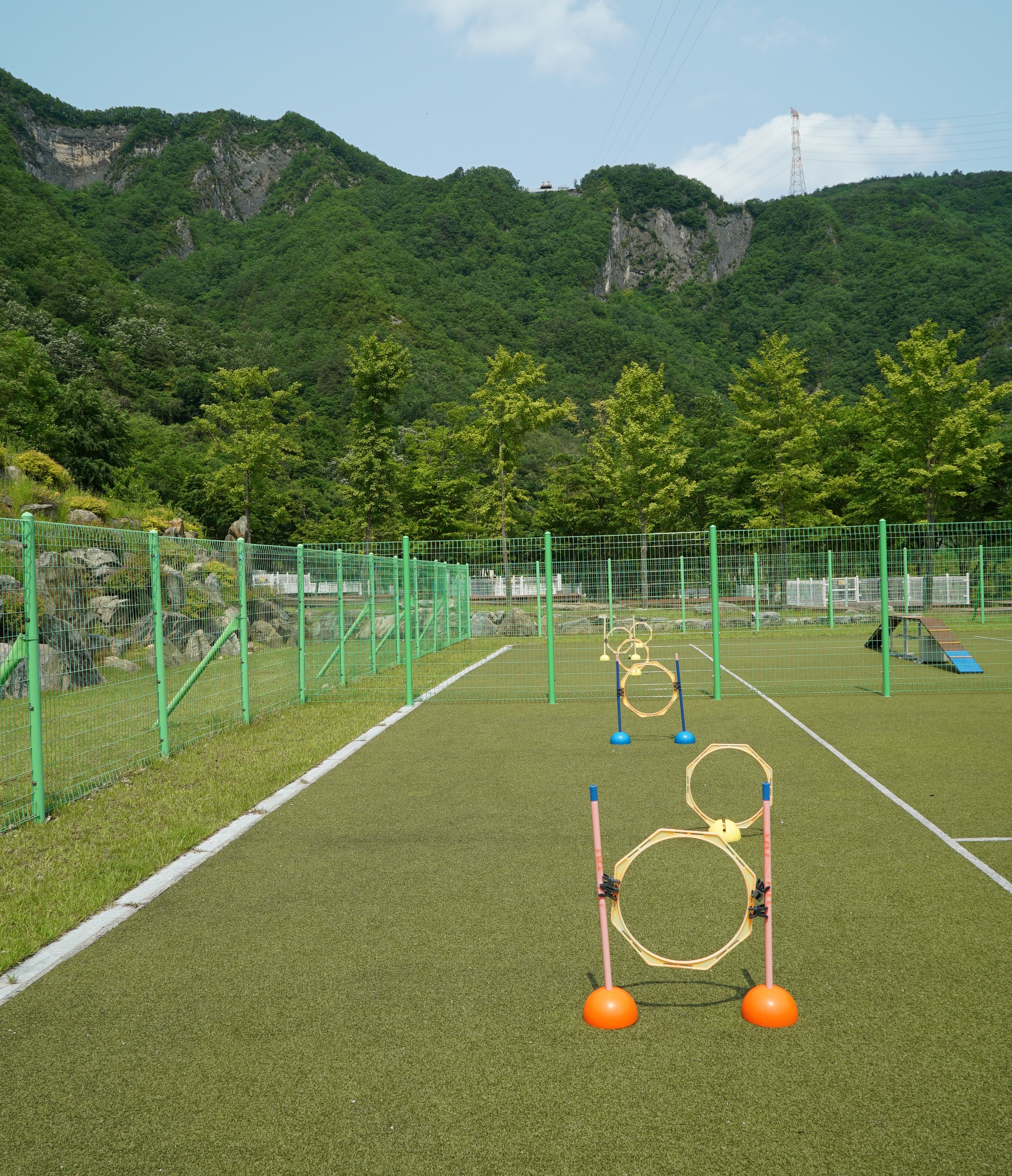 정선 펫 캠핑장