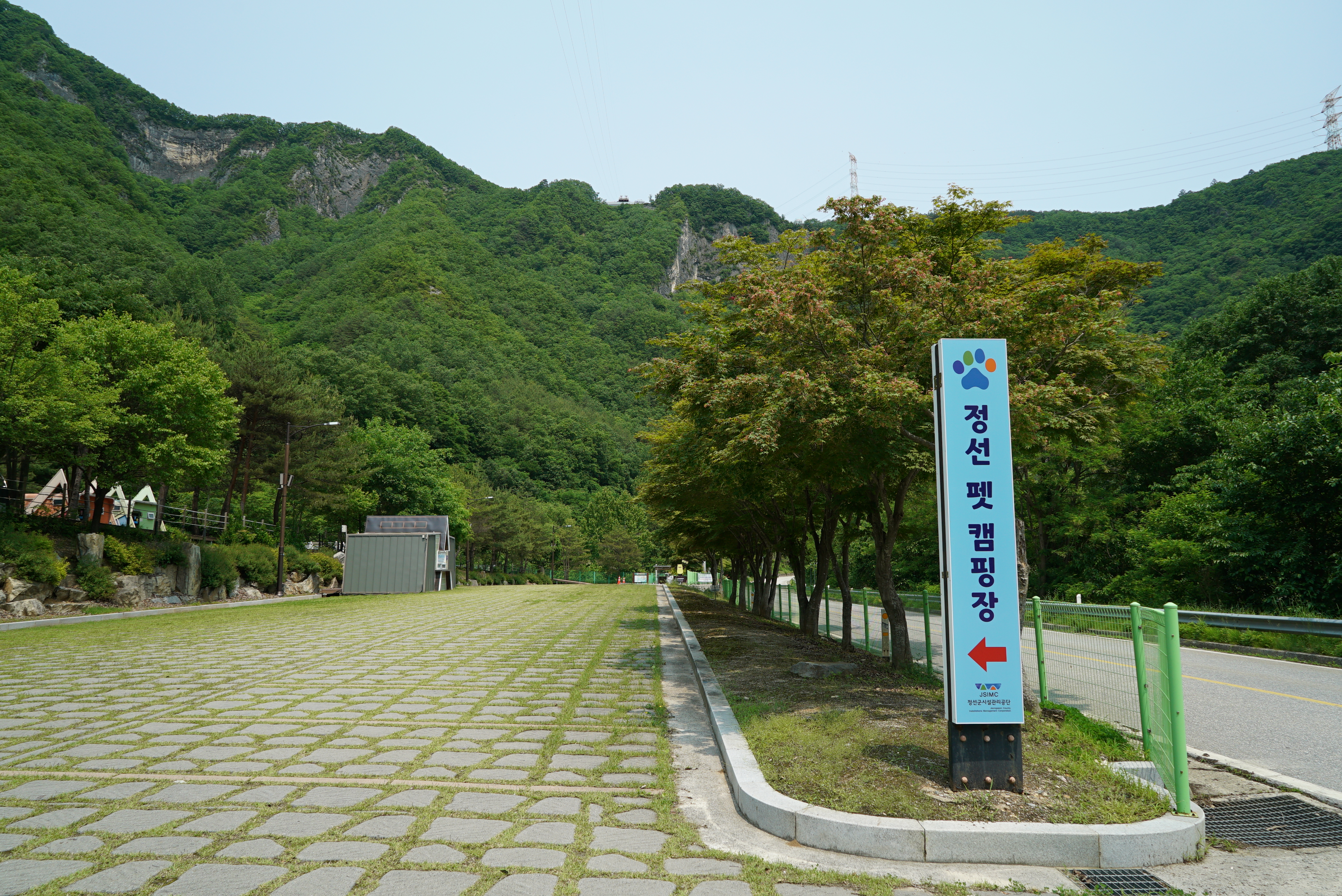 정선 펫 캠핑장